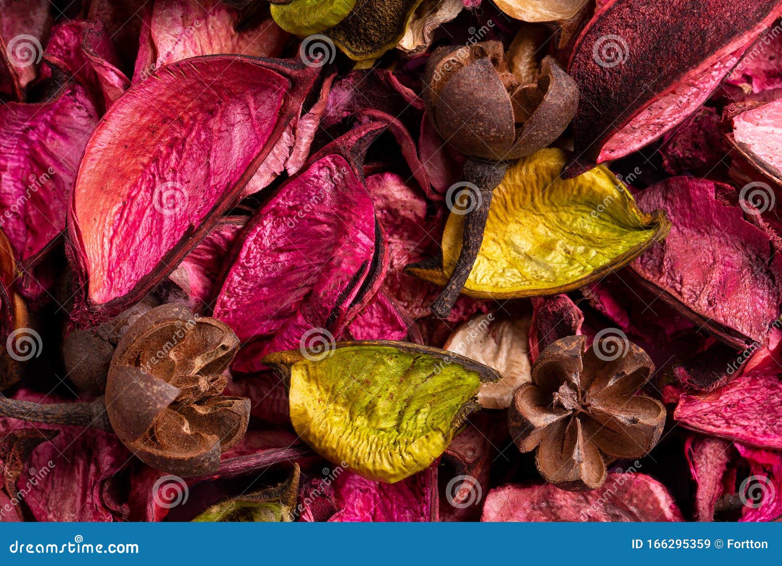 Background of Colored Aromatic Potpourri Leaves Stock Image Image of