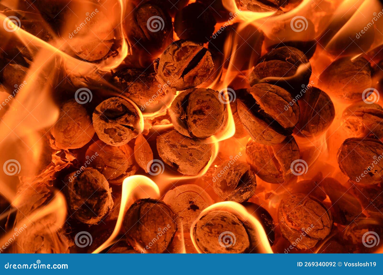 The Background Consists of Bursting Walnuts Burning on Charcoal. Stock