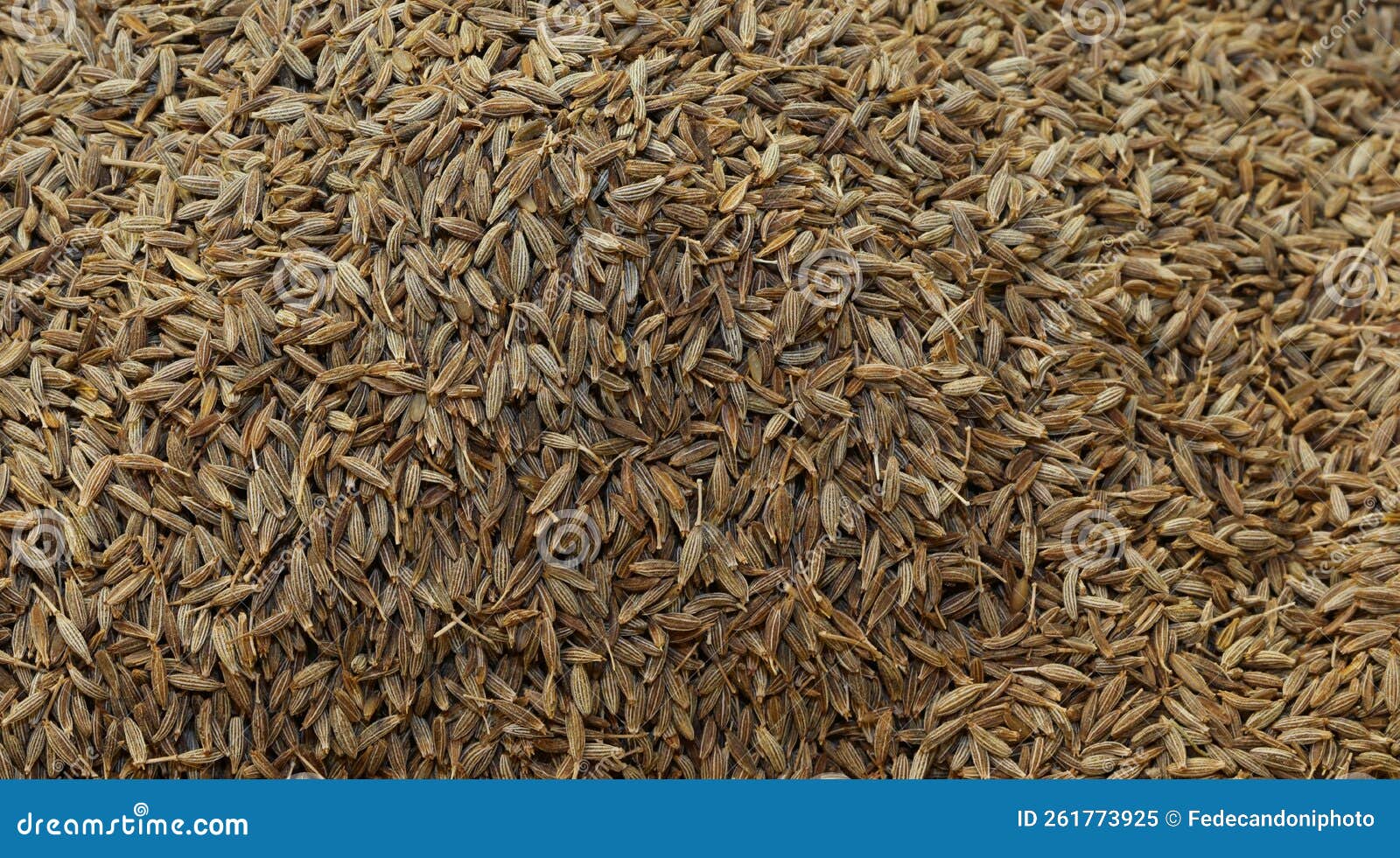 Background of Cumin Seeds To Flavor Dishes Stock Image Image of