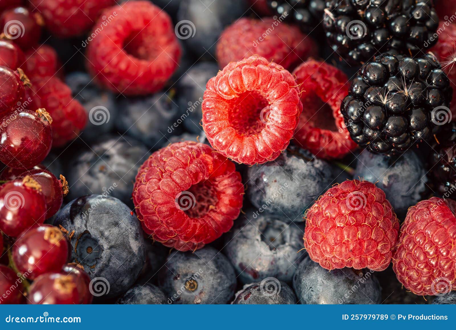 Background from Different Berries, Raspberries, Blueberries and