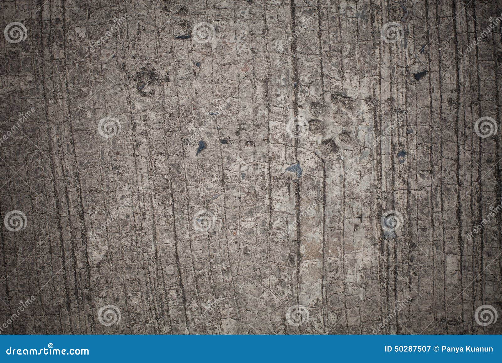 Background, Dog Footprint on Concrete Stock Image - Image of furry