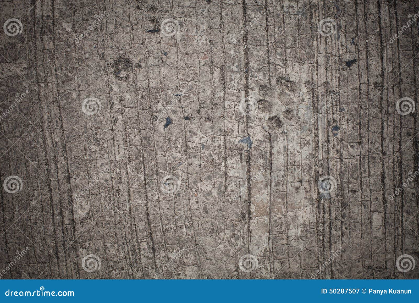 Background, Dog Footprint on Concrete Stock Image - Image of furry