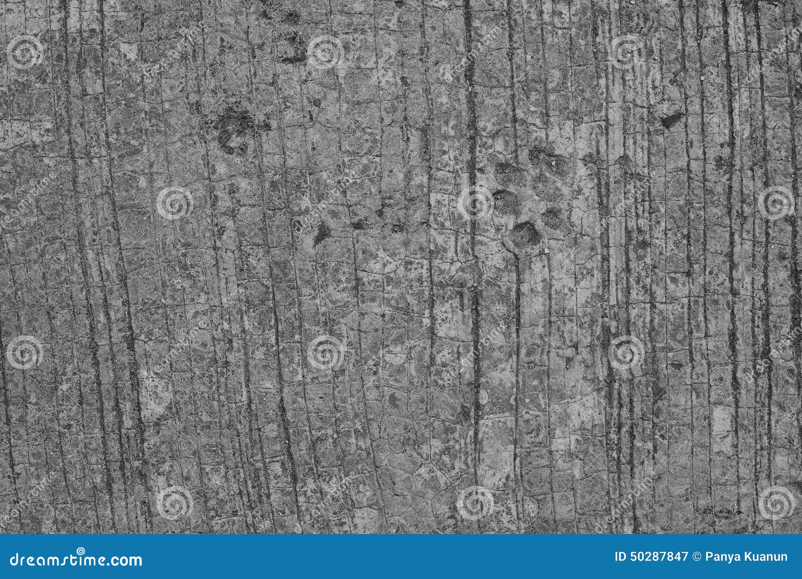 Background, Dog Footprint on Concrete Stock Image - Image of