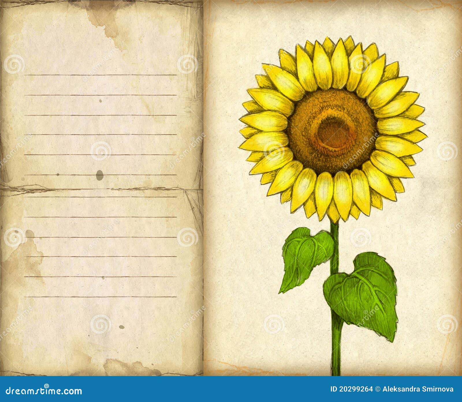 Background With Drawing Of Sunflower Stock Illustration