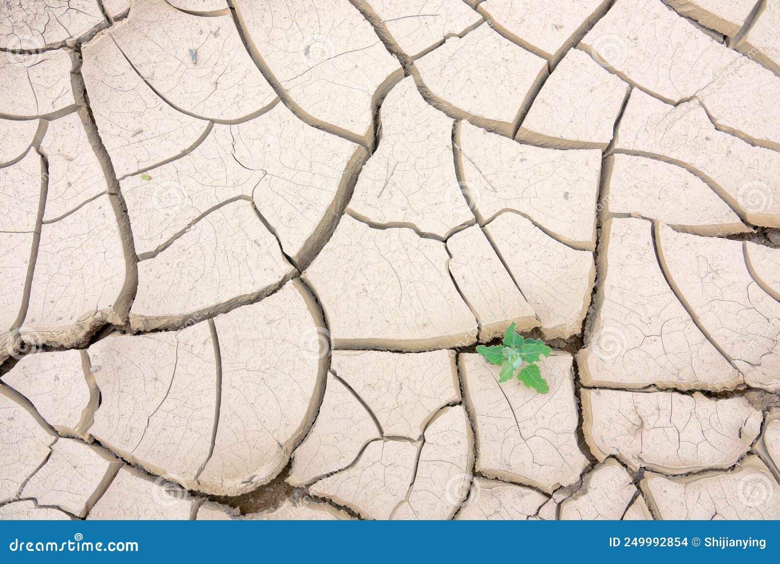 Dry riverbed stock photo. Image of river, poised, split 249992854