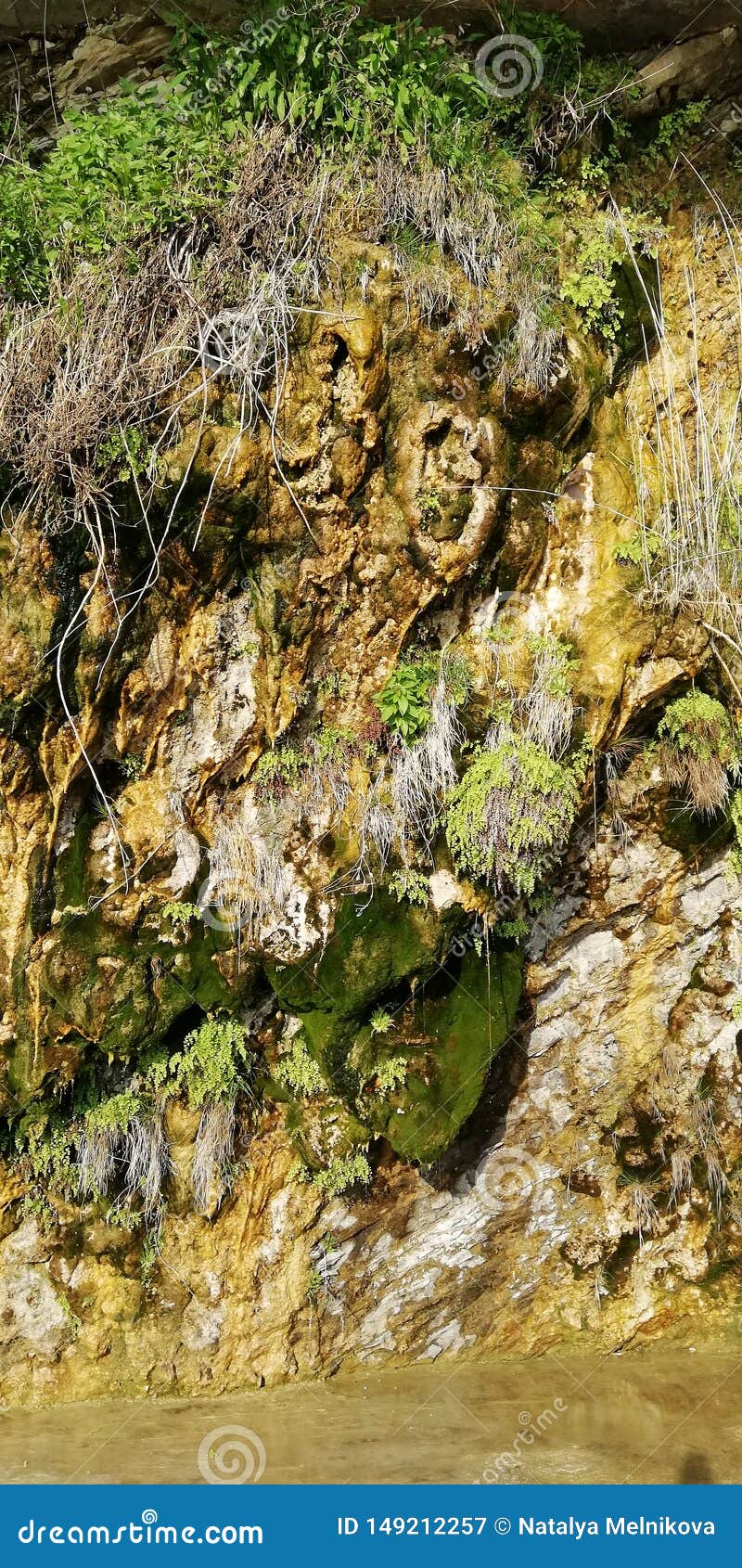 background. freakish cliffs covered with moss and plants. a rare natural phenomenon - weeping rocks.
