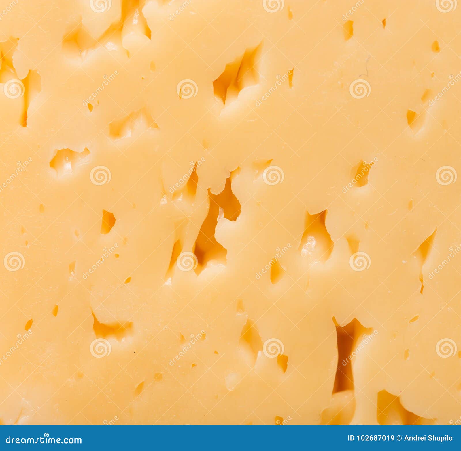 Background of Fresh Cheese. Macro Stock Image Image of grate, food