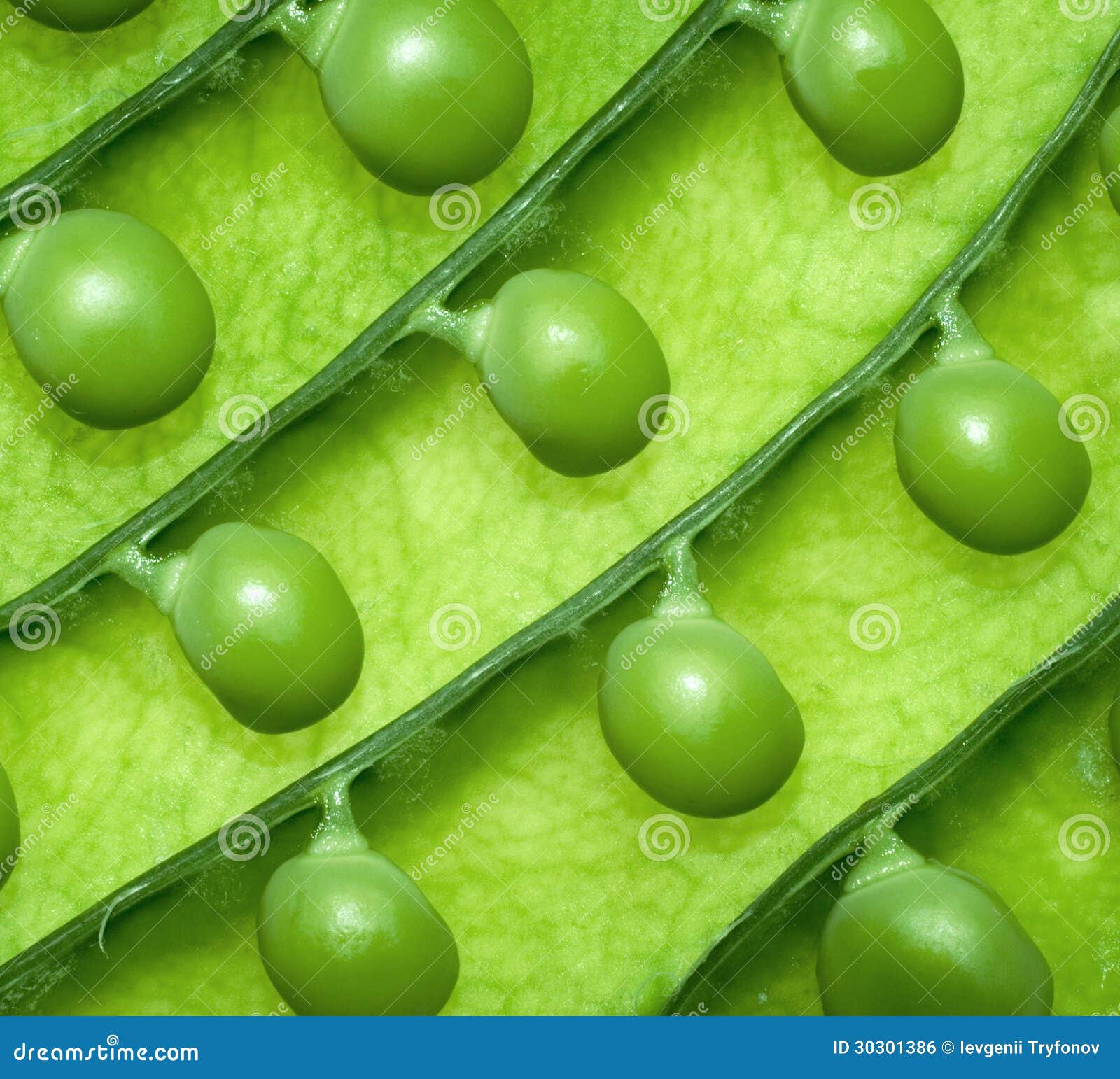 background of green peas.