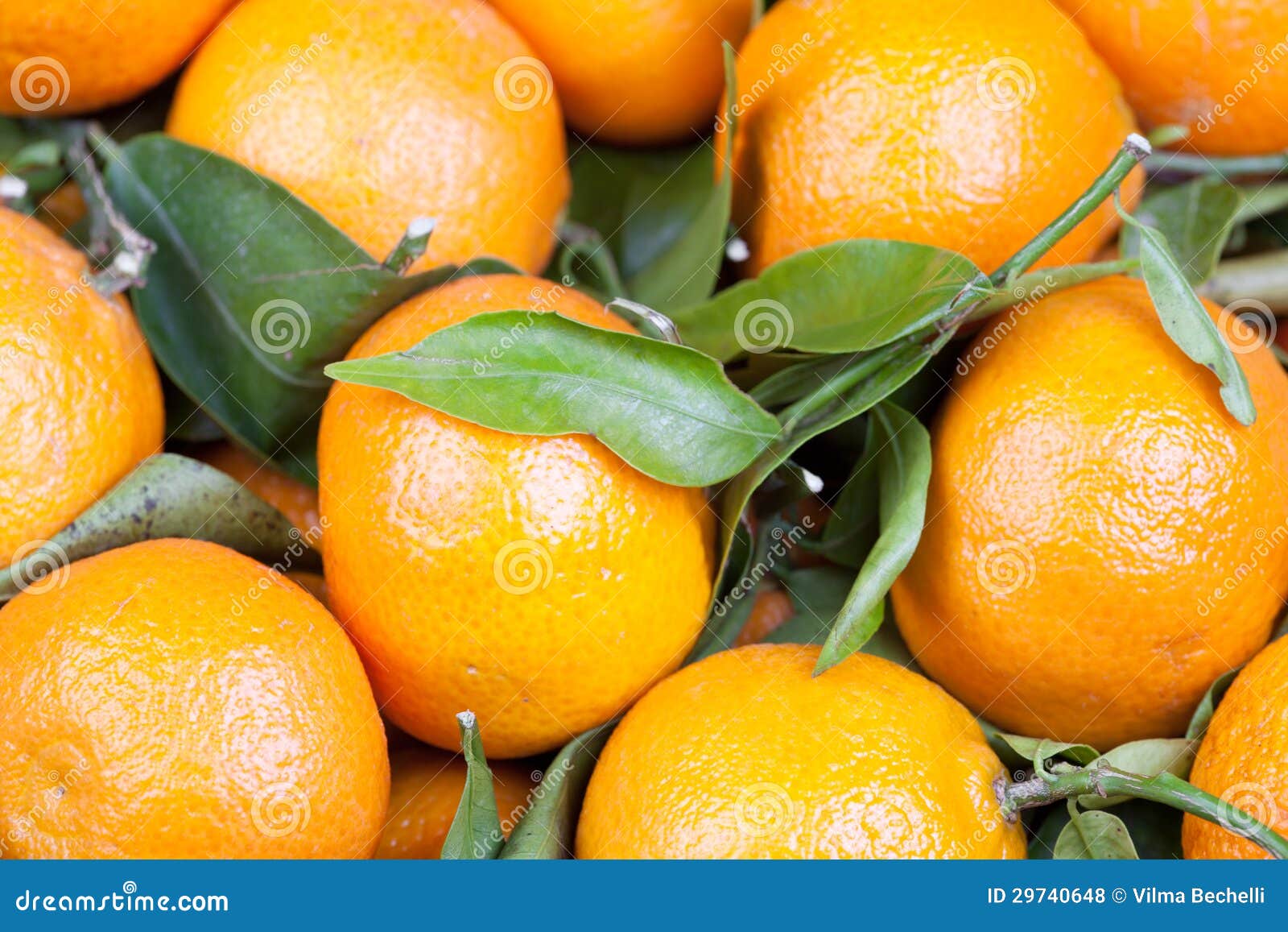Background of satsumas stock photo. Image of orange, sweet 29740648
