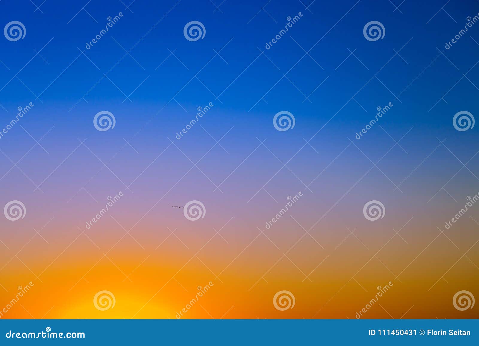 Background with Gradient Sunset Sky in Tones of Yellow, Orange and Blue Stock Image Image of