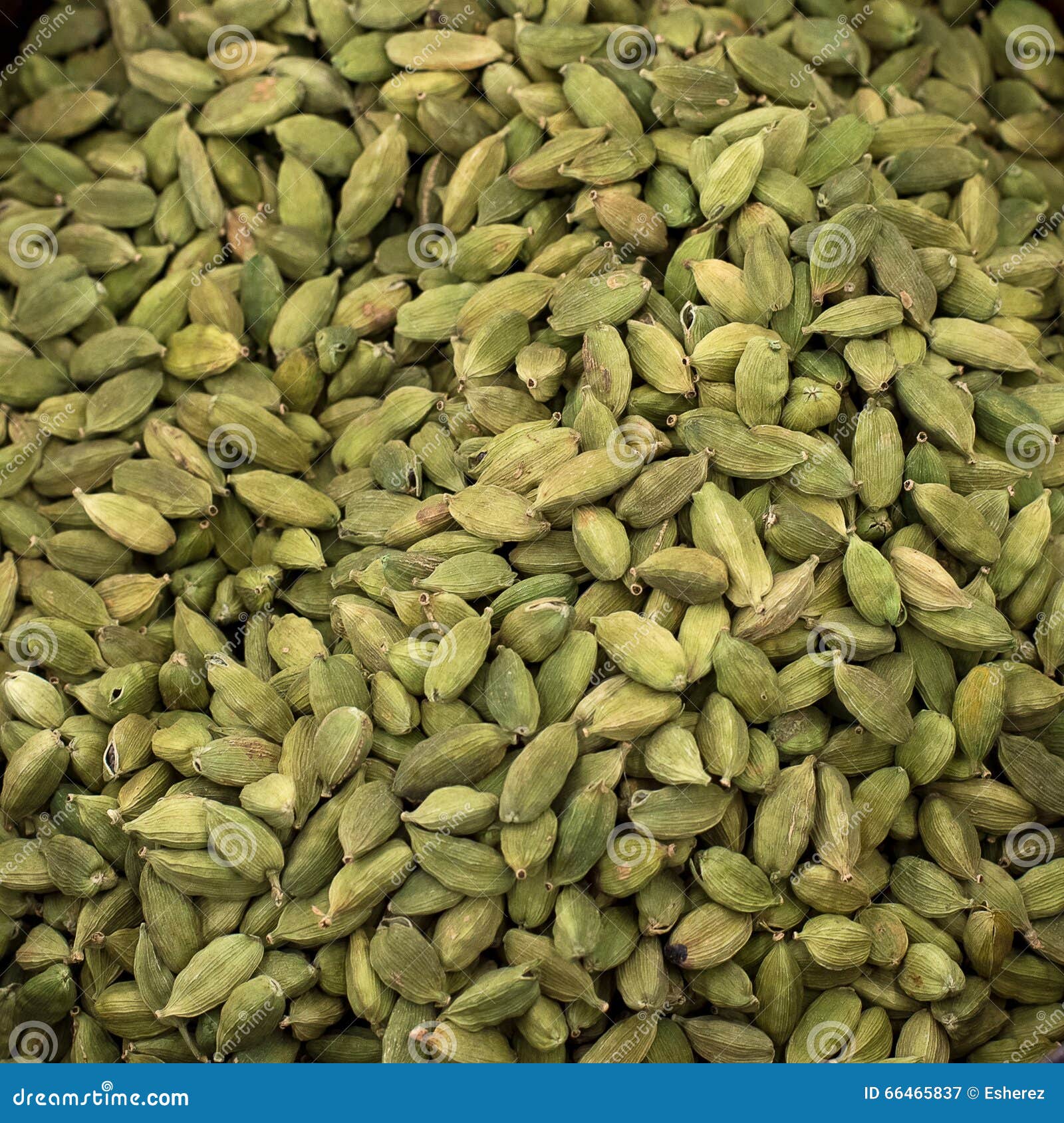 A Background of Green Cardamom Pods Stock Image Image of india