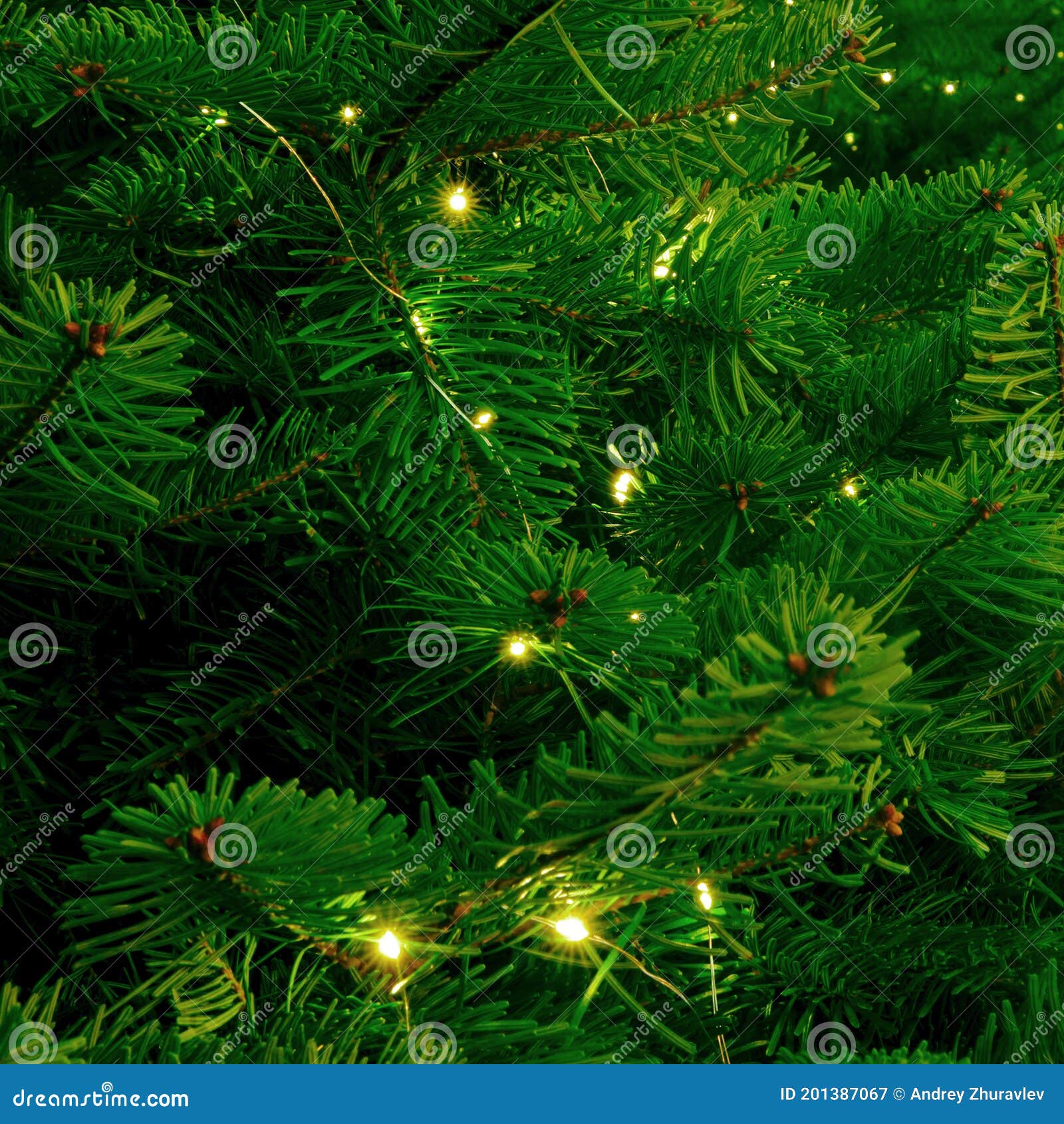 Background of Green Christmas Tree Branches with Garlands. Decorations