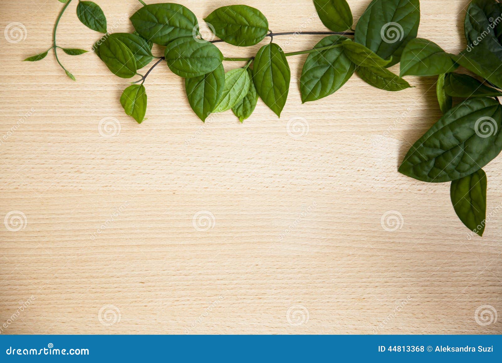 Background Green Leaves on Wood Stock Photo Image of organic
