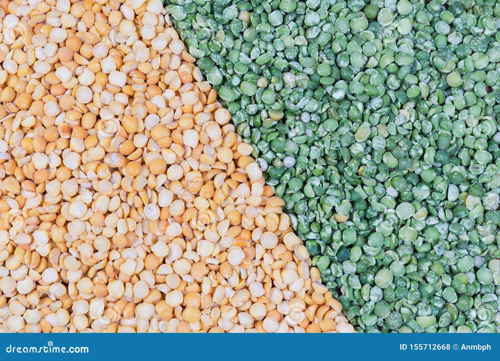 Background of the Green and Yellow Split Peas Separately Stock Photo