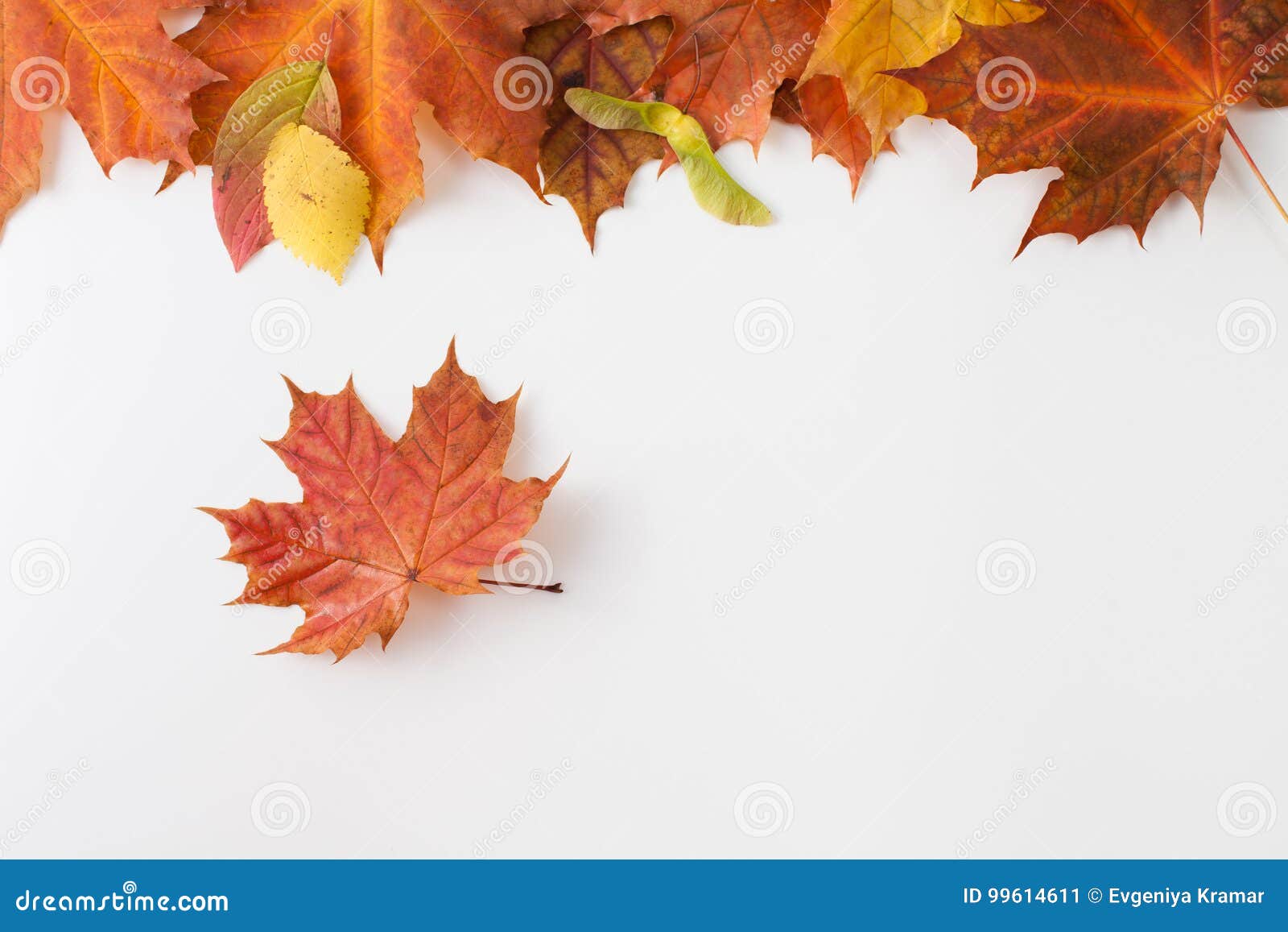 Autumn Leaves Stock Illustrations – 387,634 Autumn Leaves Stock  Illustrations, Vectors & Clipart - Dreamstime