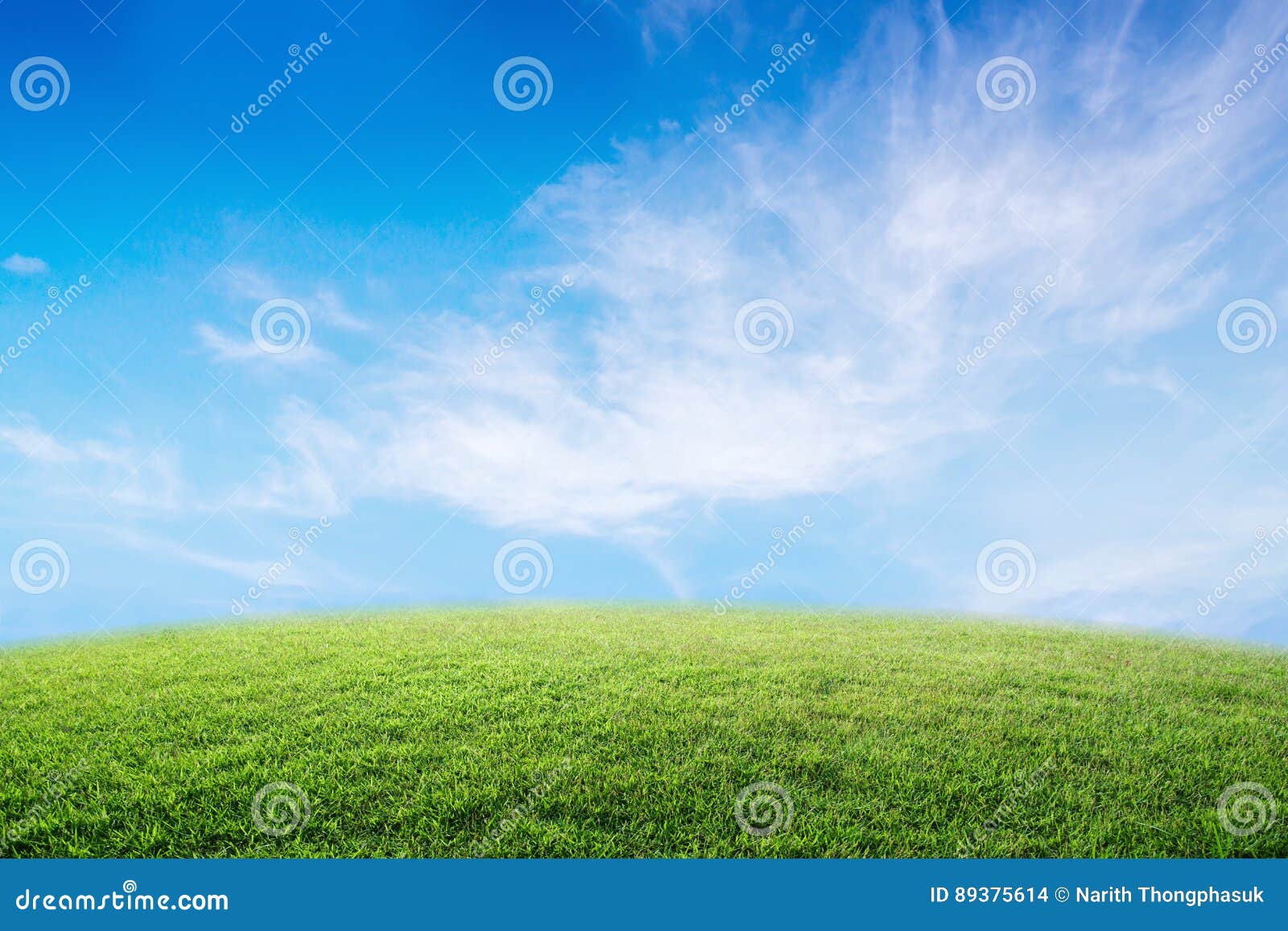 Background Image of Lush Grass Field Under Blue Sky. Stock Photo