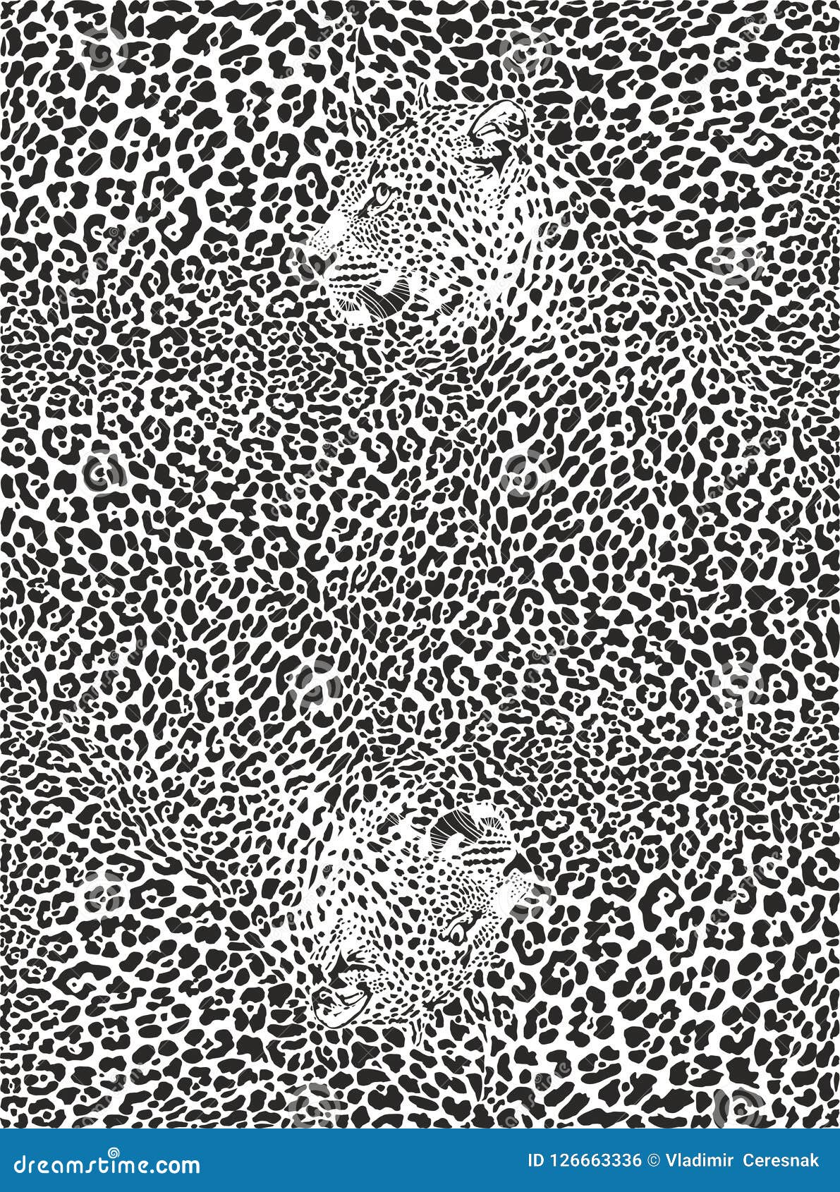 Background with Leopards, Black and White Illustration Stock Vector ...