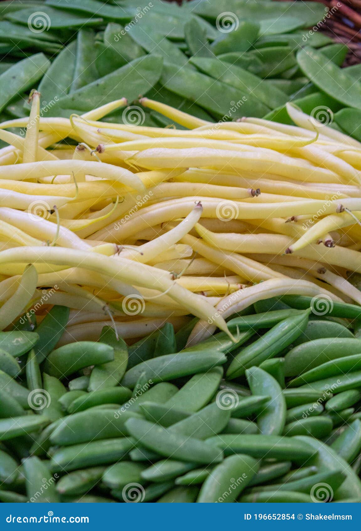 Background Mix of Yellow and Green Beans Stock Photo Image of green