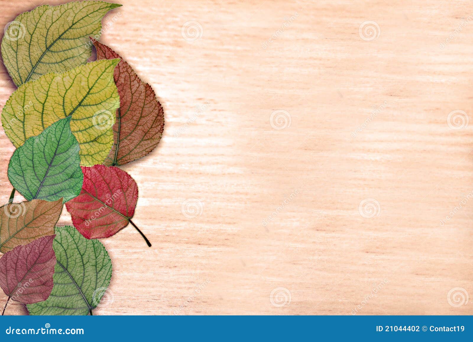 Background with the Multi-coloured Leaves Stock Photo - Image of text