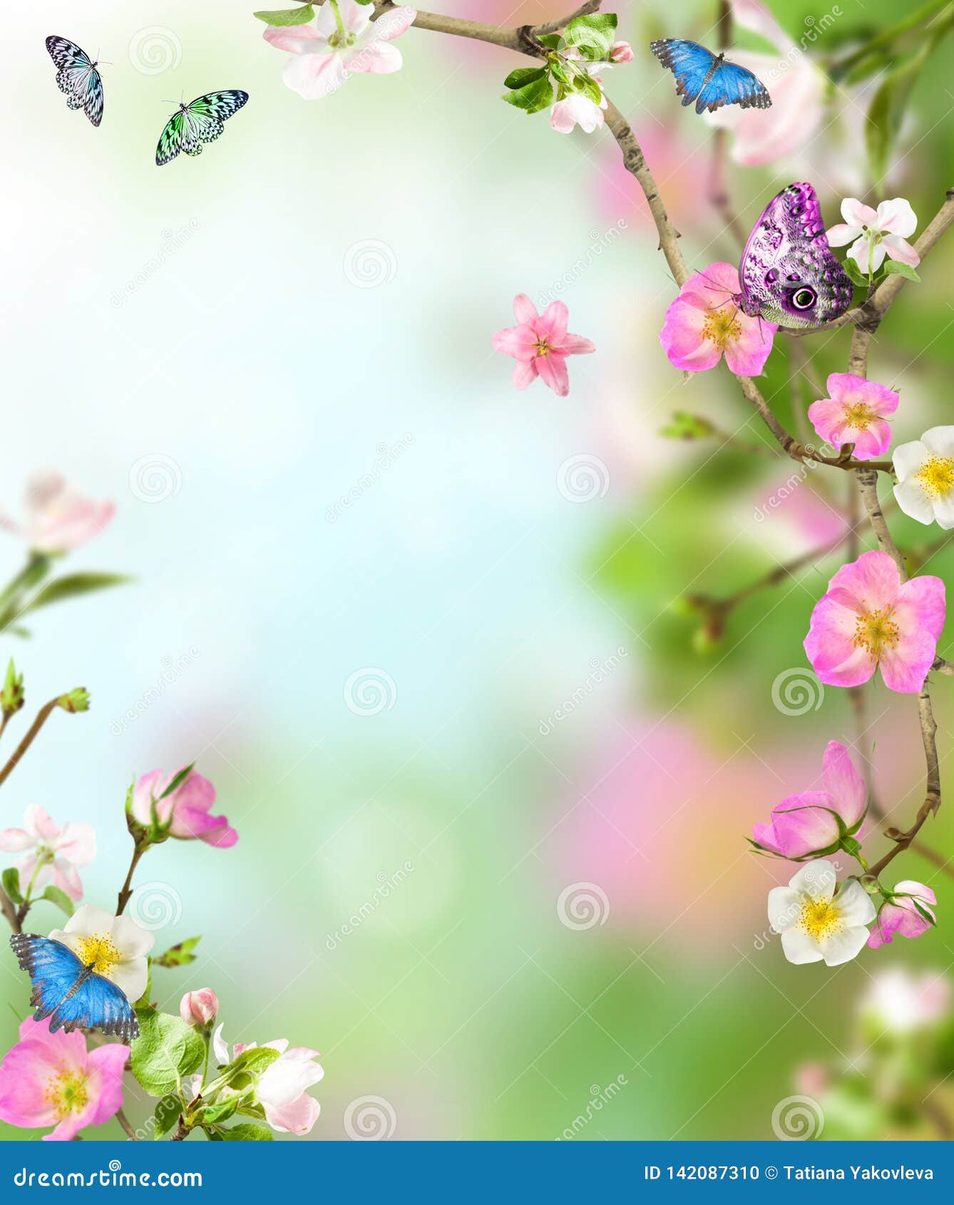 Background Nature with Flowers and Butterflies Stock Photo - Image of  green, environment: 142087310