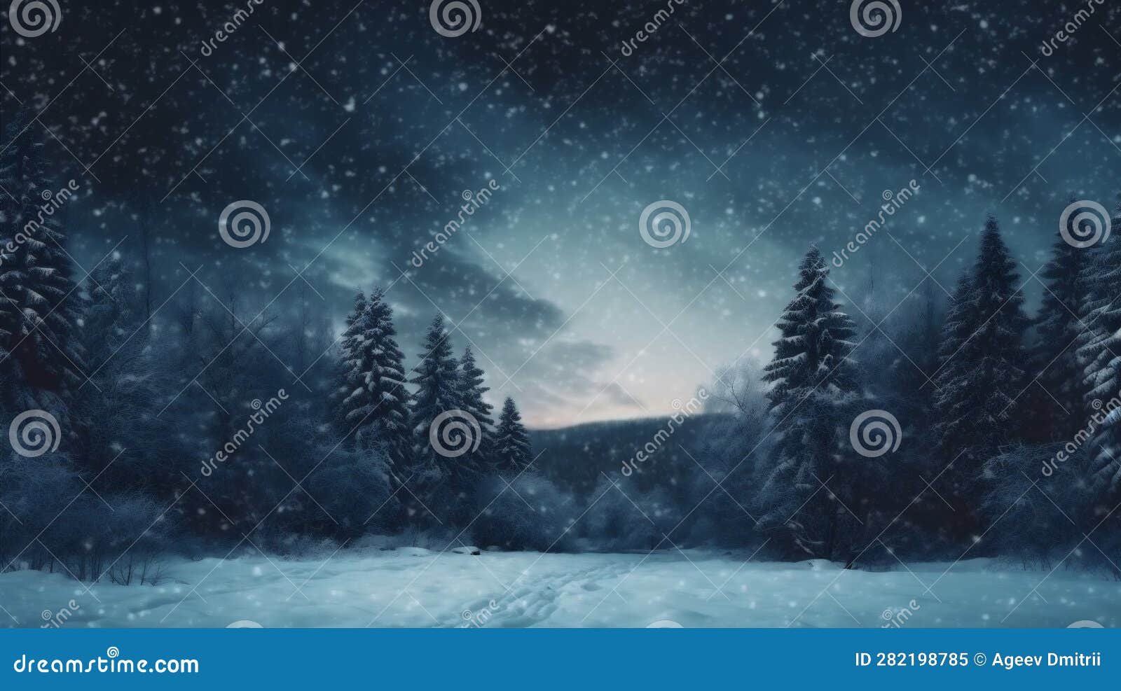 Background Night Fir Sky Tree Year Holiday Snow White New Winter ...
