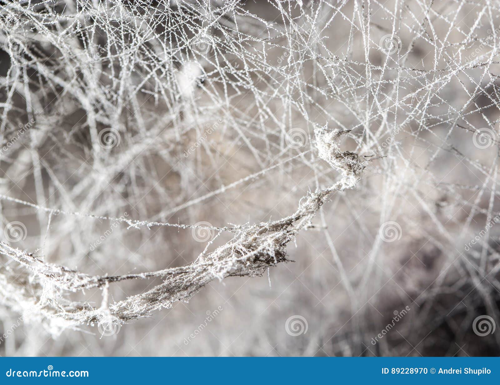 old web wallpaper old web wallpaper