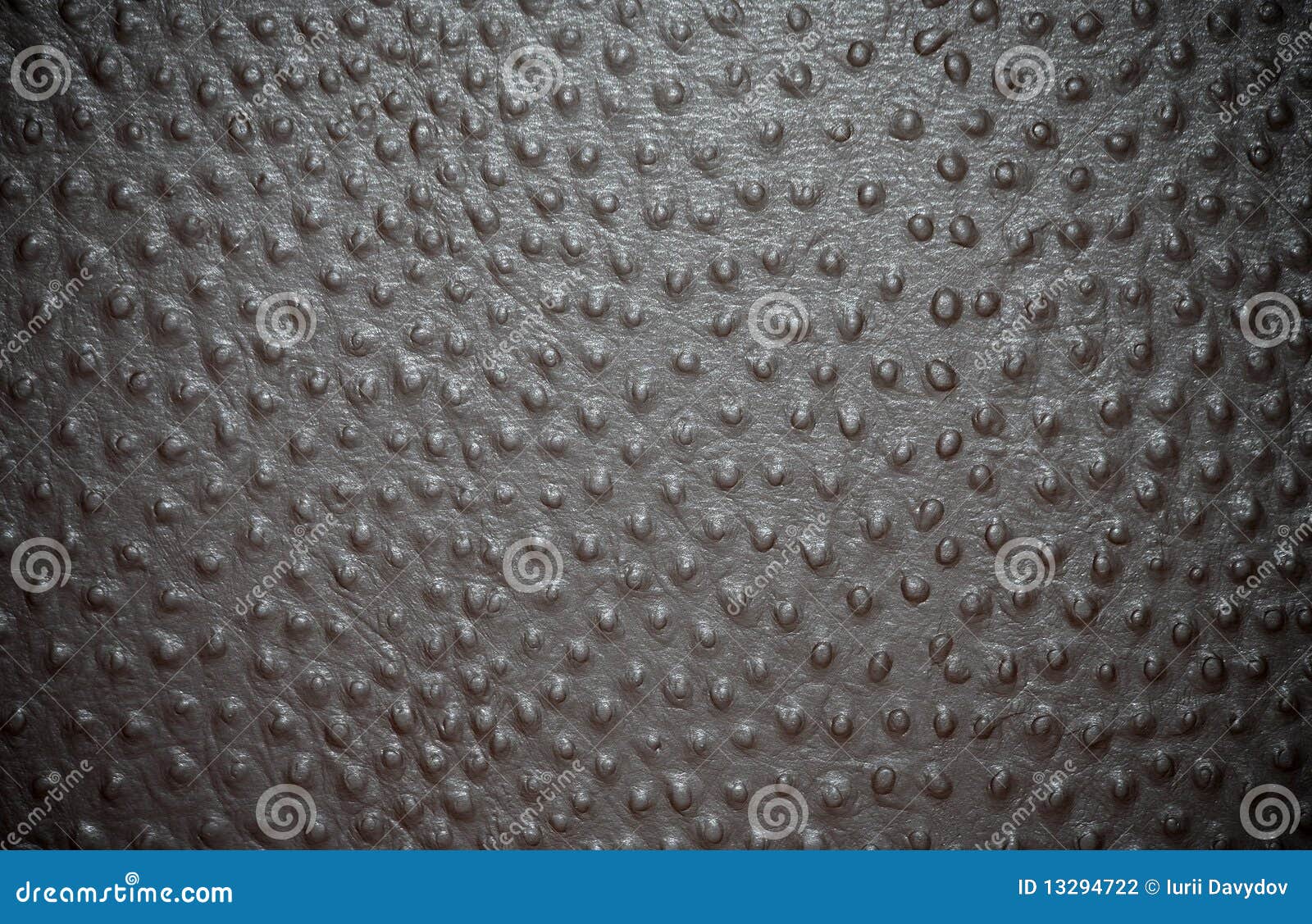 Real ostrich leather pattern background Stock Photo - Alamy