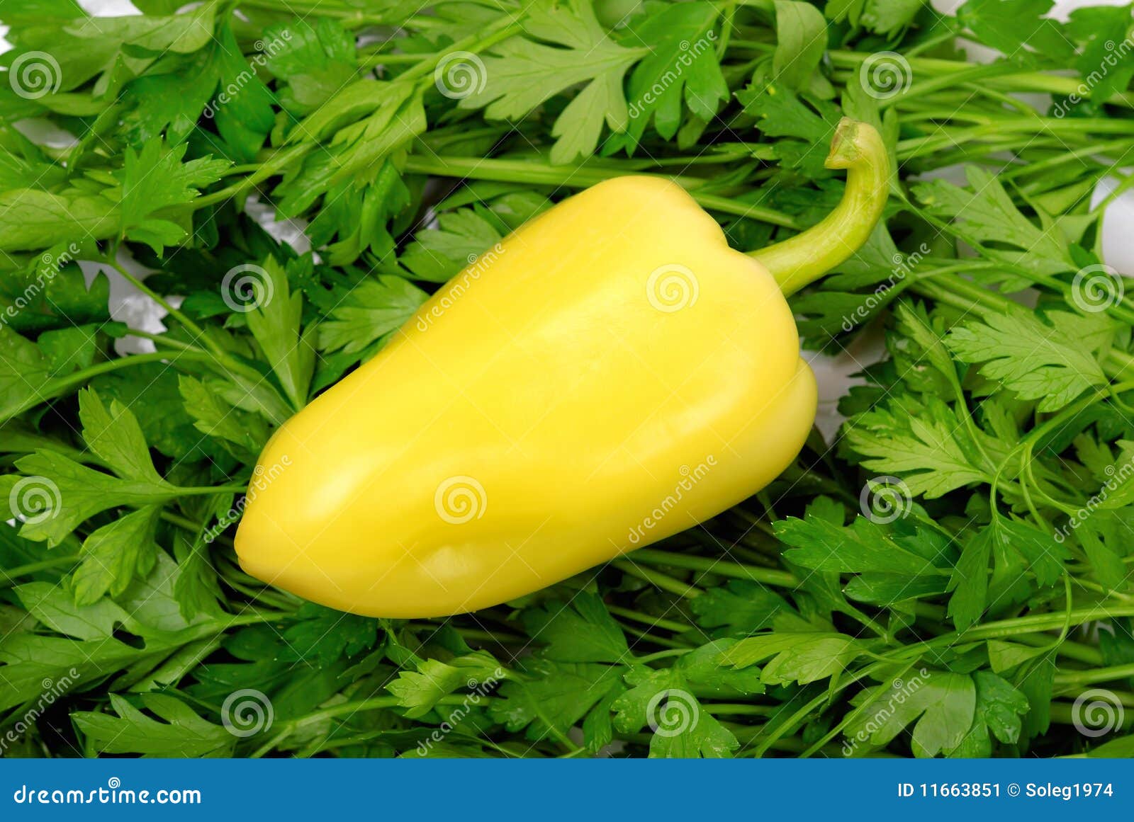 Background from Parsley and Peppers with Drops Stock Image Image of