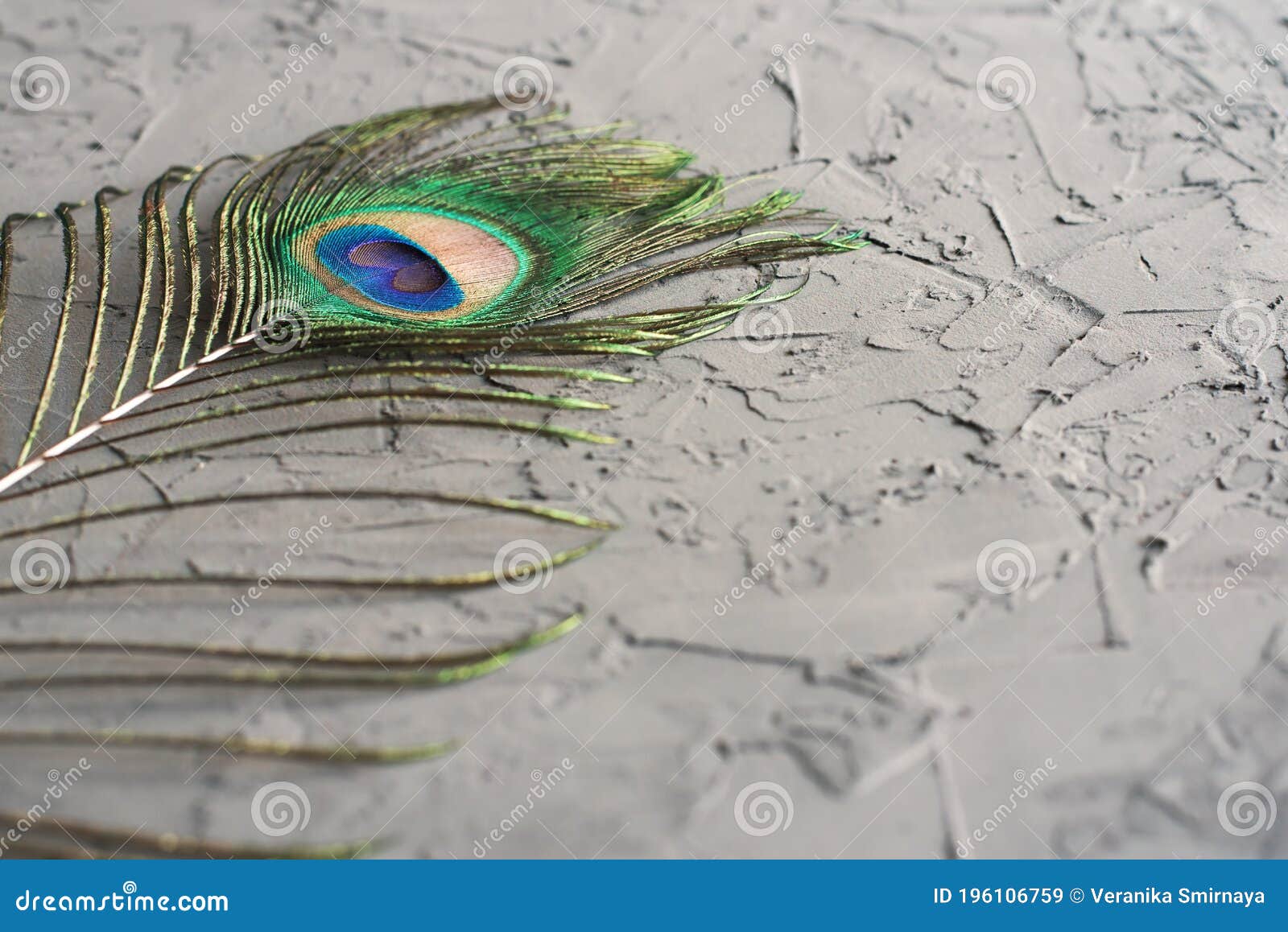 Background with Peacock Feather on Concrete Surface Stock Image - Image of  decor, surface: 196106759