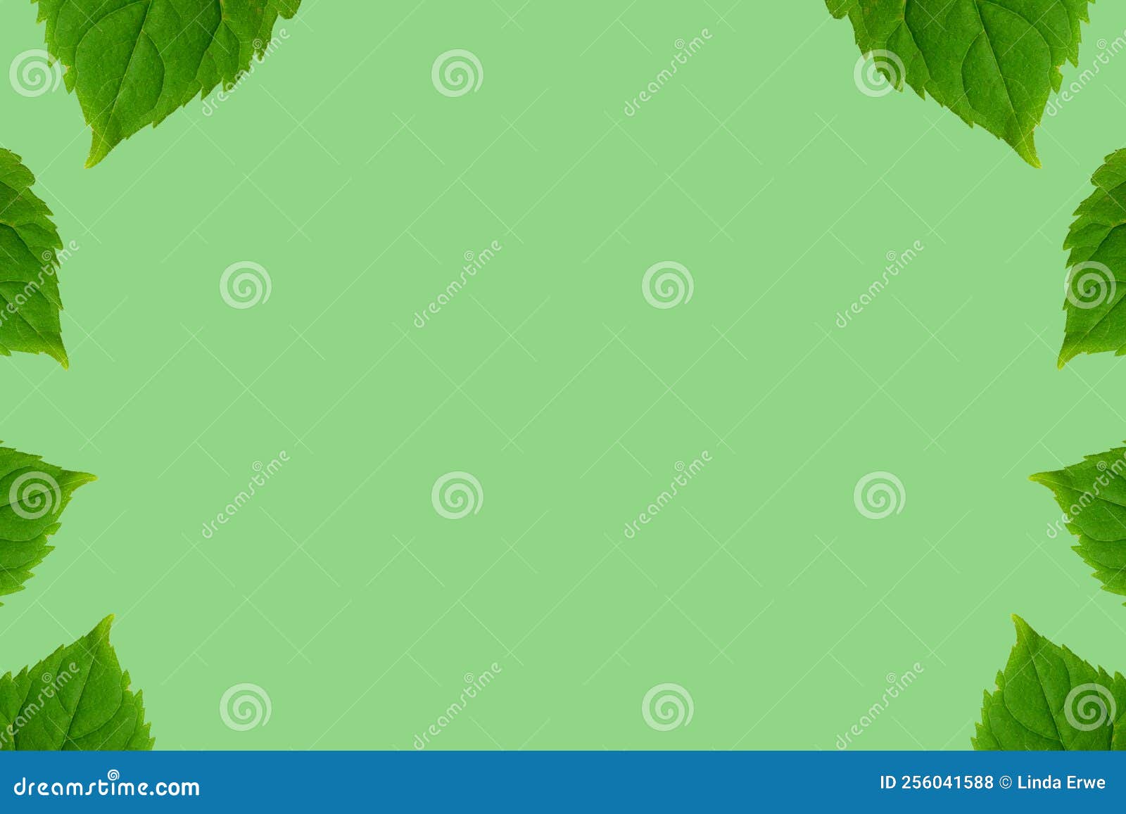 Background Photo of Leaves on Green Background Stock Photo Image of
