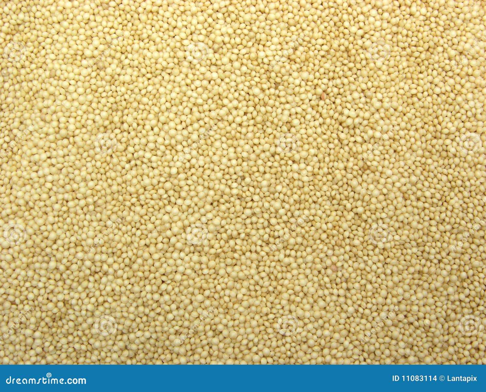 Background Picture Amaranth Seeds Stock Photo - Image of ecological ...