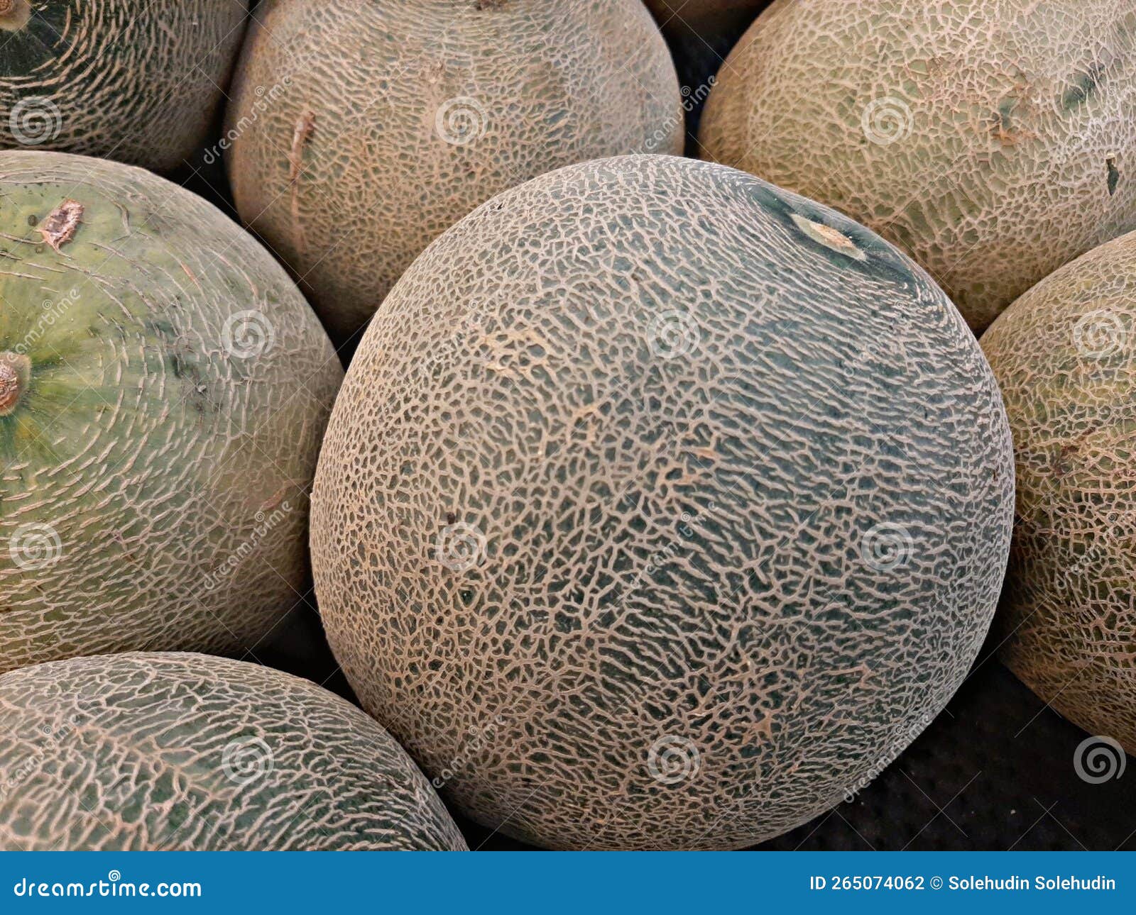 Fresh melon in the market stock photo. Image of melon 265074062