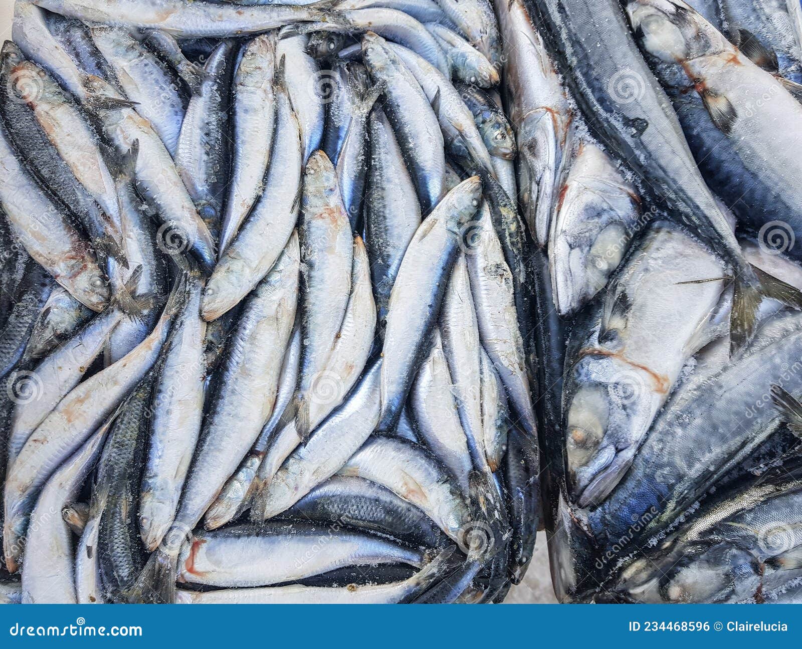 Background of Raw Frozen Herring Fish at the Fish Market Stock Photo