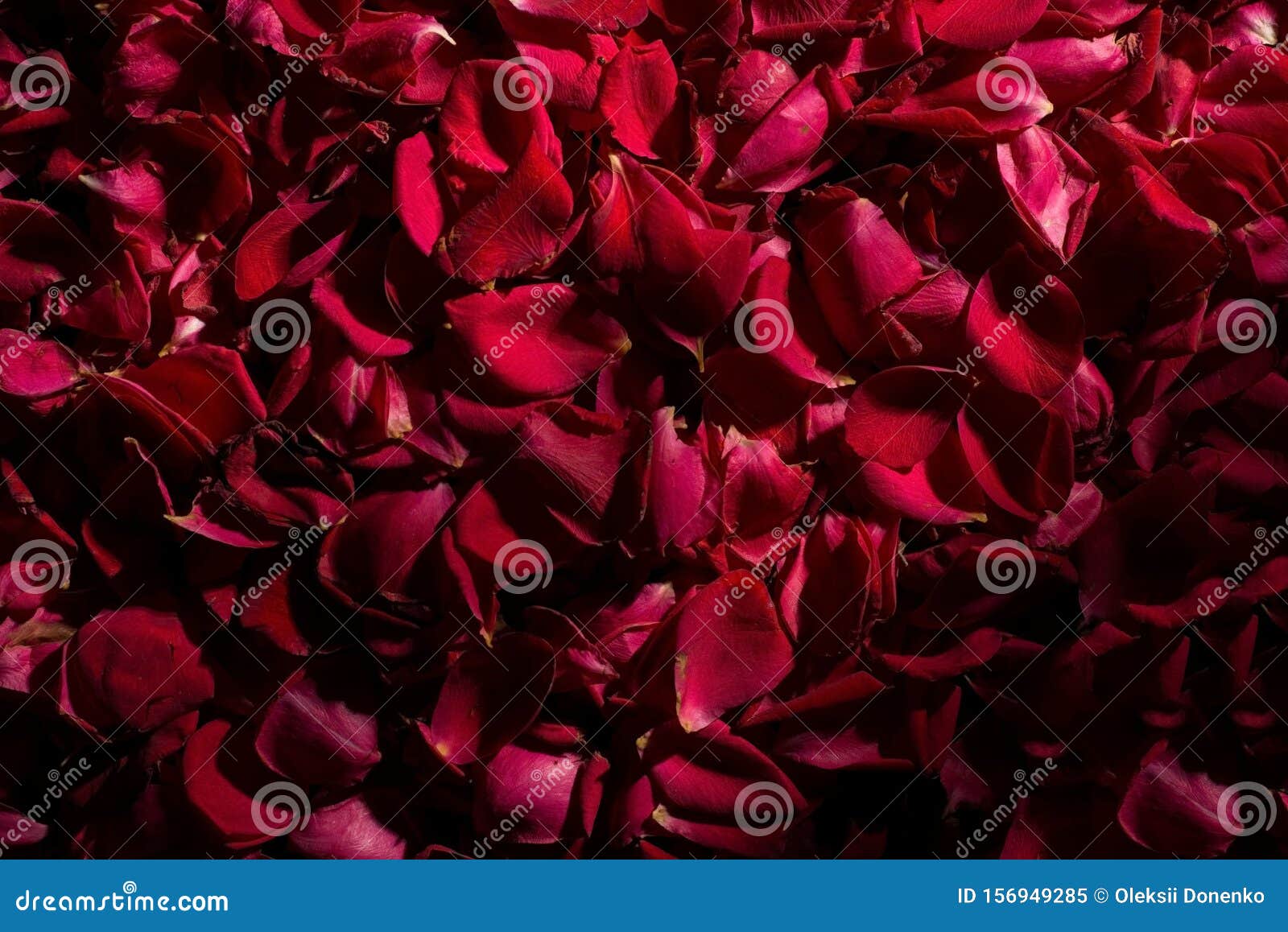 /image-photo/red-rose-petals-i