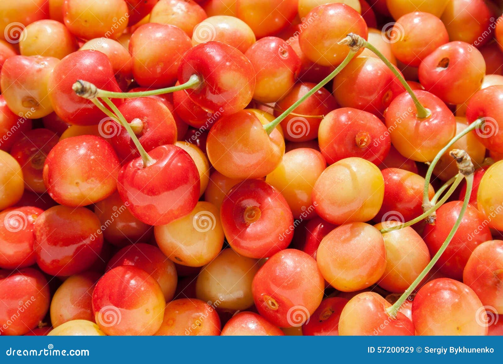 Background with Redyellow Cherry Stock Image Image of ripe, food