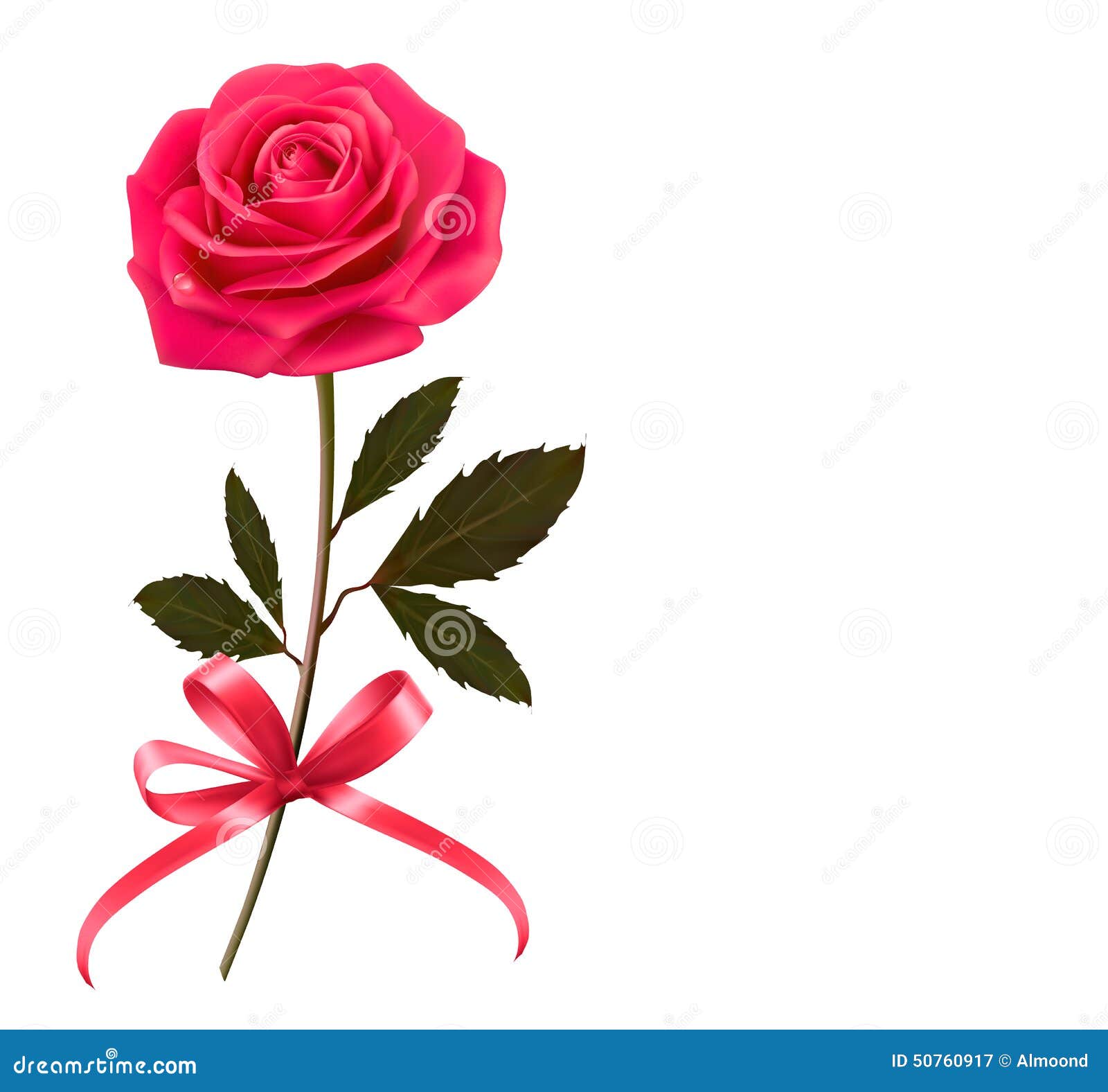 background with rose and a bow.