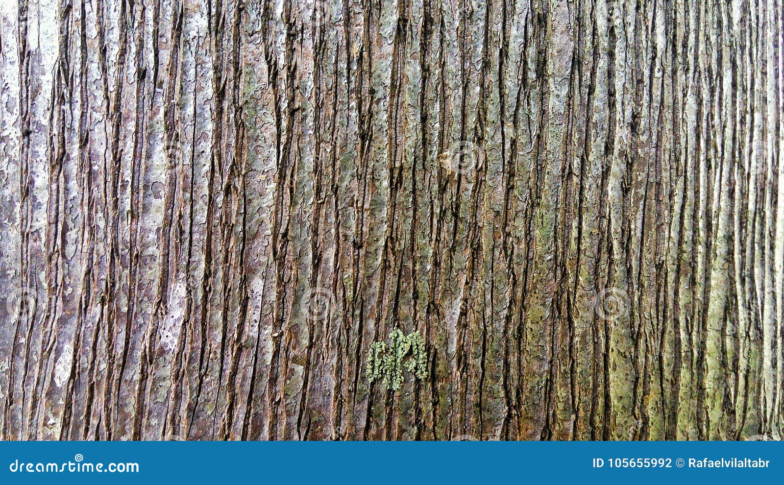 background, rough wood texture, tree trunk, shades of brown, rough wood plane, predominant brown color.