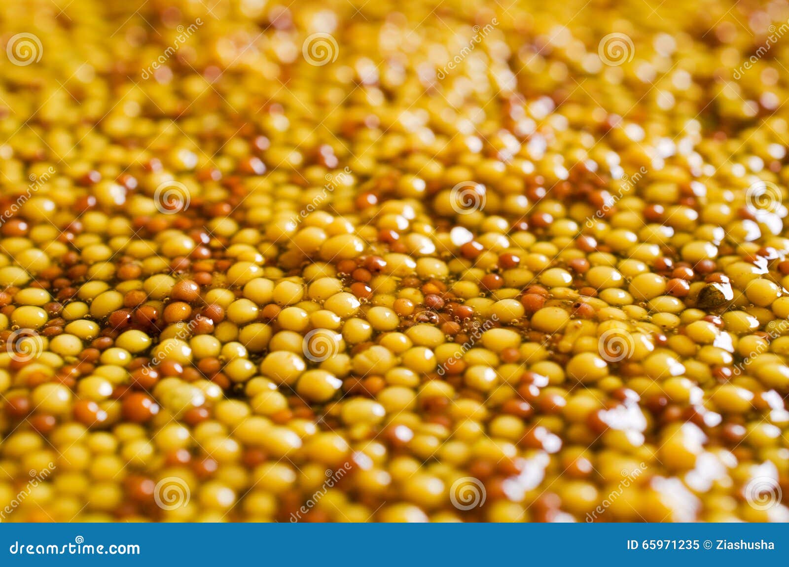 Background of seeds of mustard. Background of whole seeds of mustard with liquid. Selective focus.