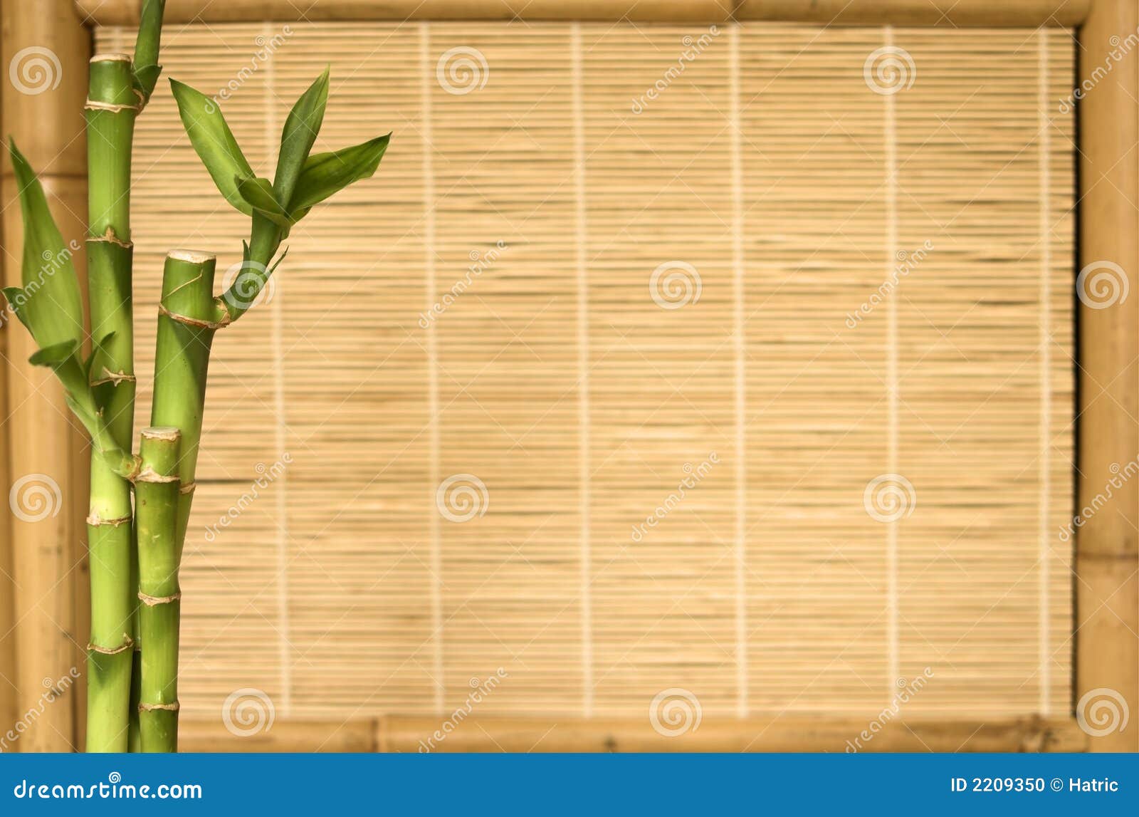 1,340 Bamboo Screen Stock Photos - Free & Royalty-Free Stock