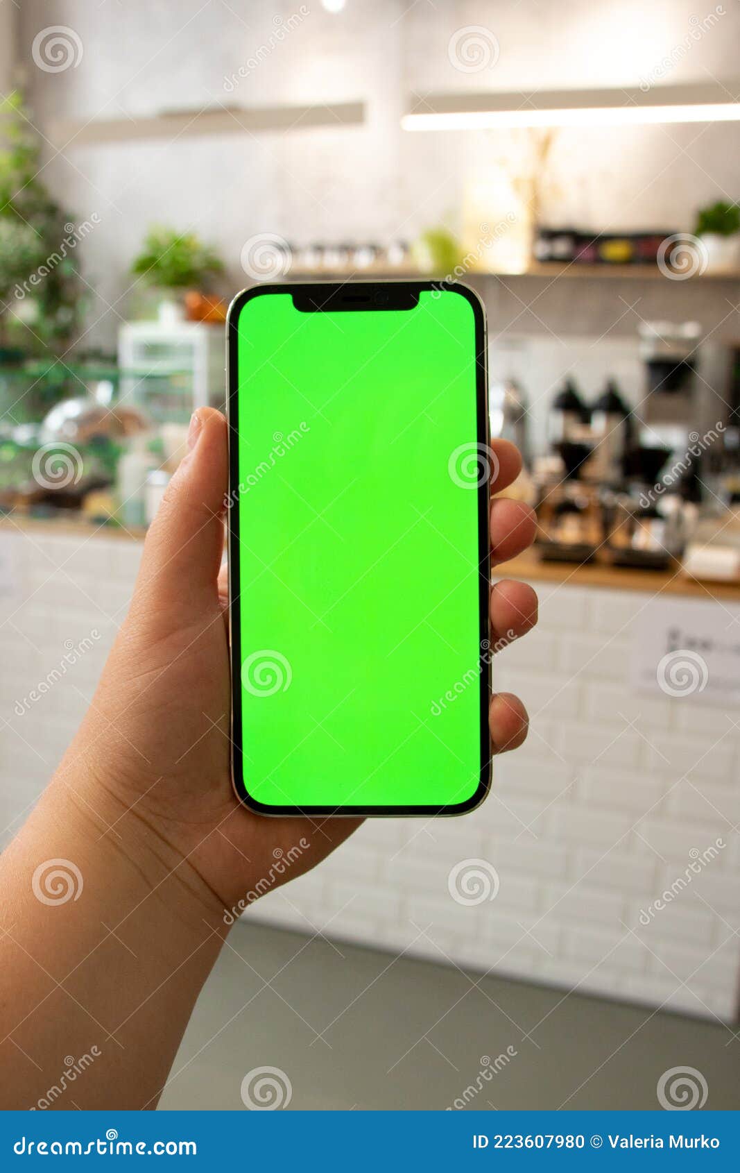 Hand Holds the Phone. Background. Green Screen. Mockup Phone. Smartphone in  Hand Stock Photo - Image of equipment, bang: 223607980