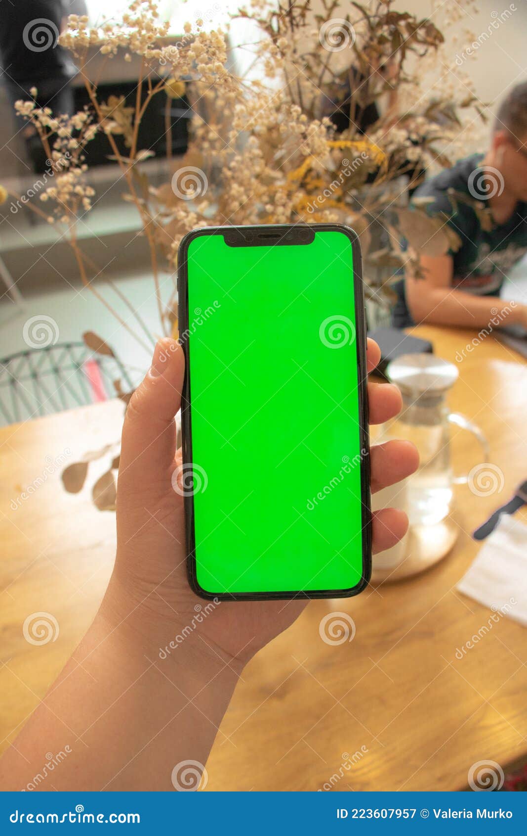 Hand Holds the Phone. Background. Green Screen. Mockup Phone. Smartphone in  Hand Stock Image - Image of caucasian, business: 223607957