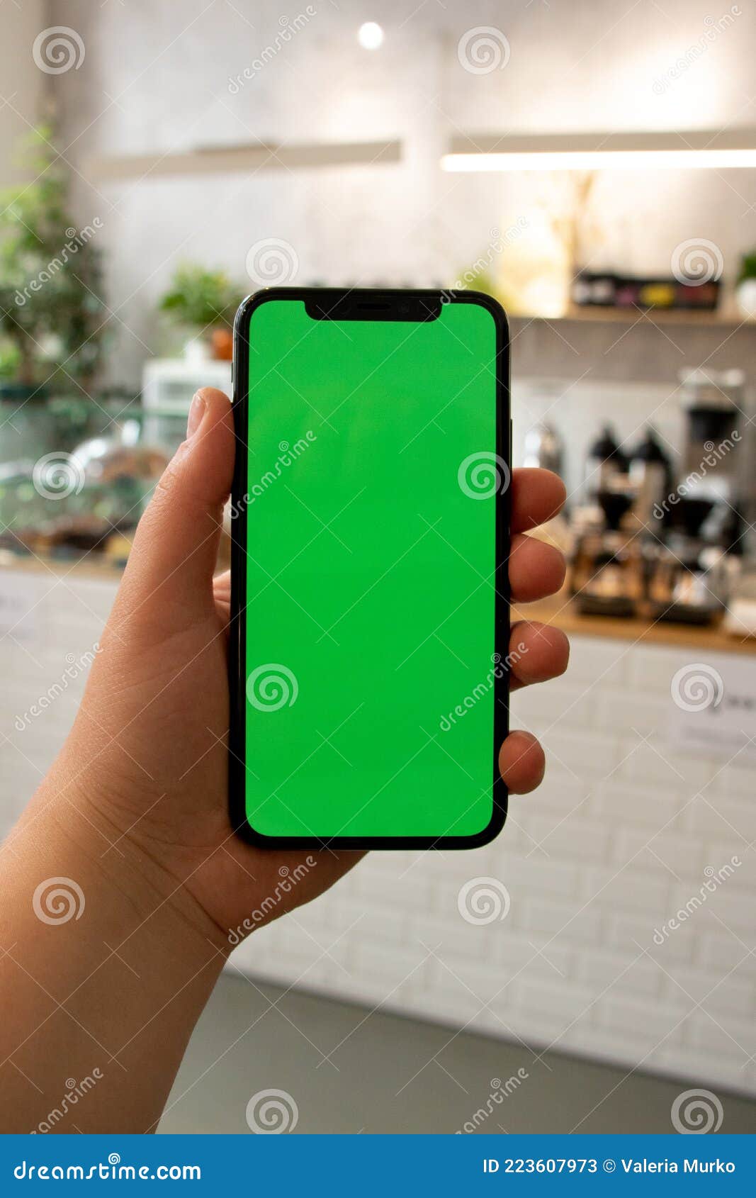 Hand Holds the Phone. Background. Green Screen. Mockup Phone. Smartphone in  Hand Stock Image - Image of cell, communication: 223607973