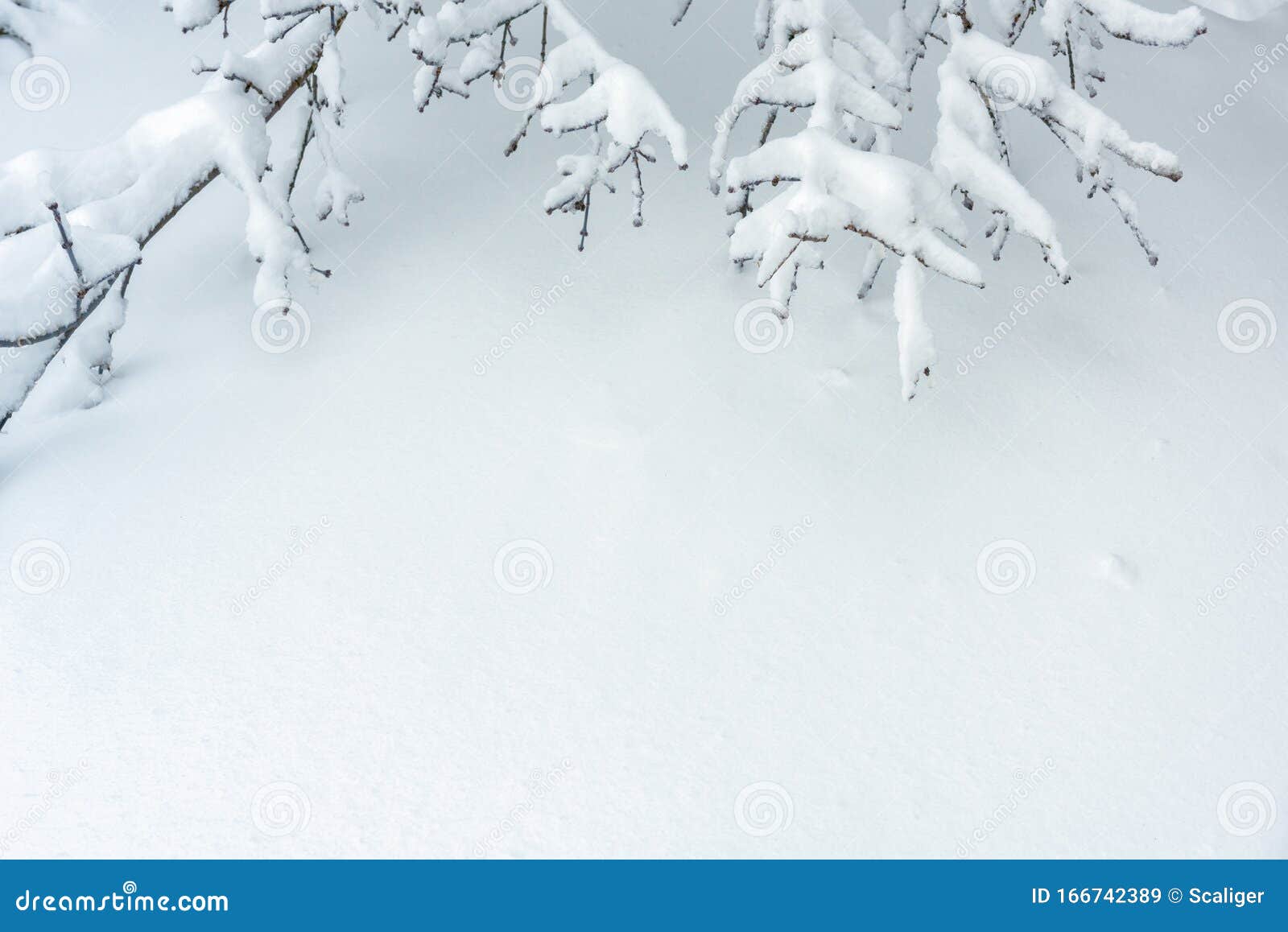 Mặt nền tuyết trắng như những đóa tuyết lấp lánh, chính là nguồn cảm hứng vô tận dành cho những người yêu nhiếp ảnh. Mỗi họa tiết hoa tuyết khác nhau, mời bạn đến khám phá sự độc đáo của từng bức ảnh.