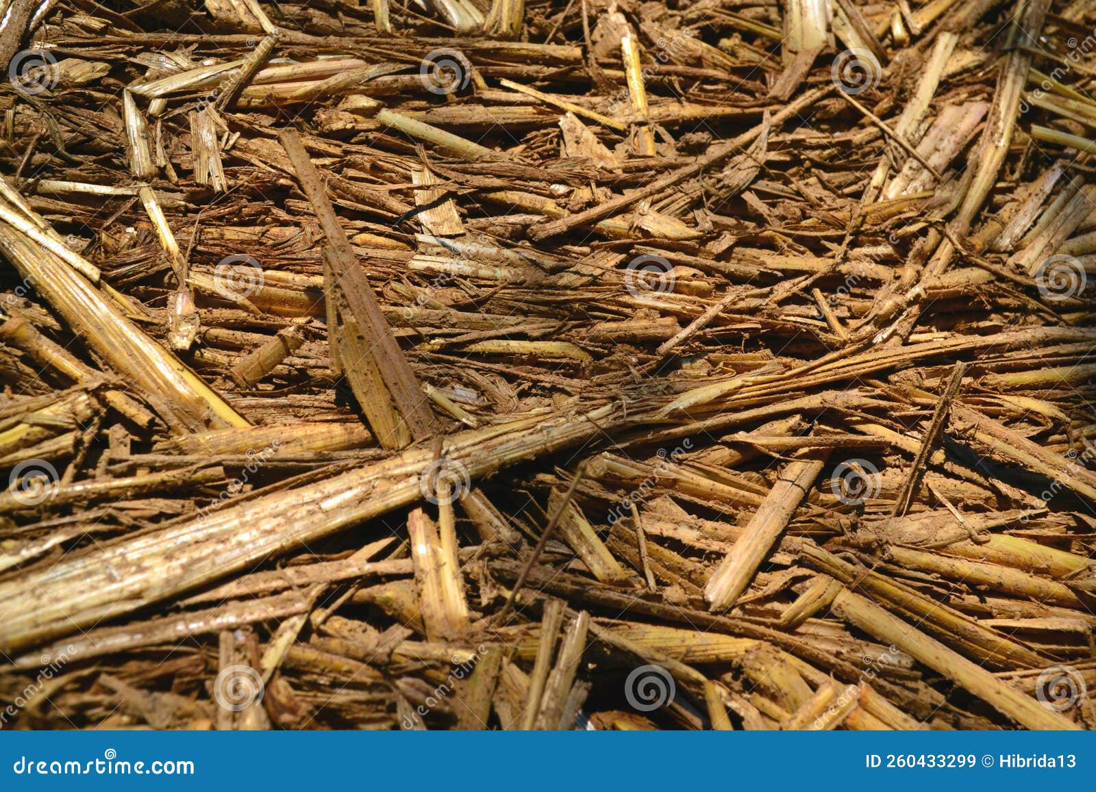 Background with Straw Sprinkled with Clay, Light Straw Clay Stock Image ...