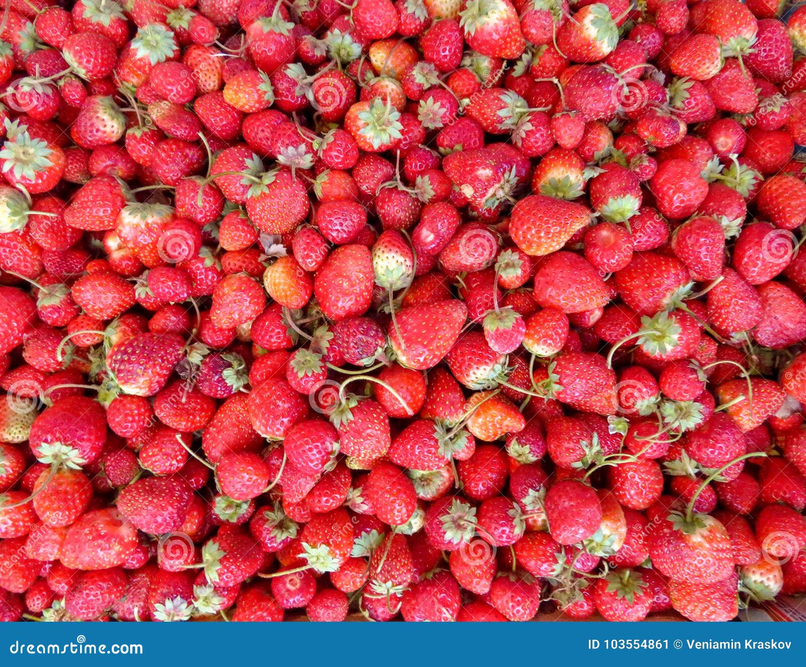 Background of strawberries stock image. Image of seamless 103554861