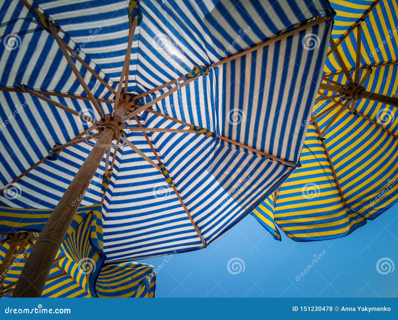 background of striped colored beach umbrellas, view from the bottom, against the sky