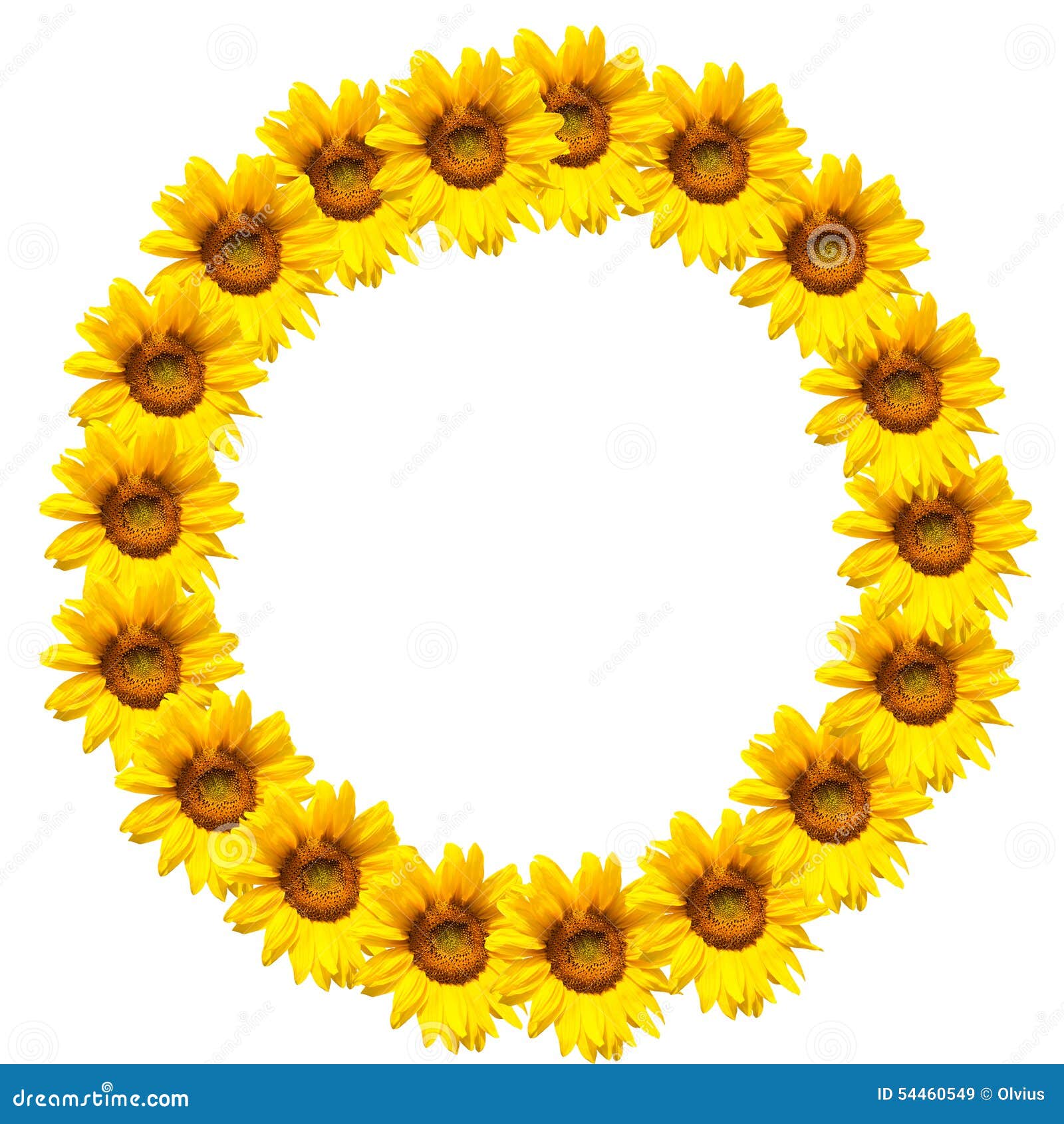 Background of sunflowers stock image. Image of blossom 54460549