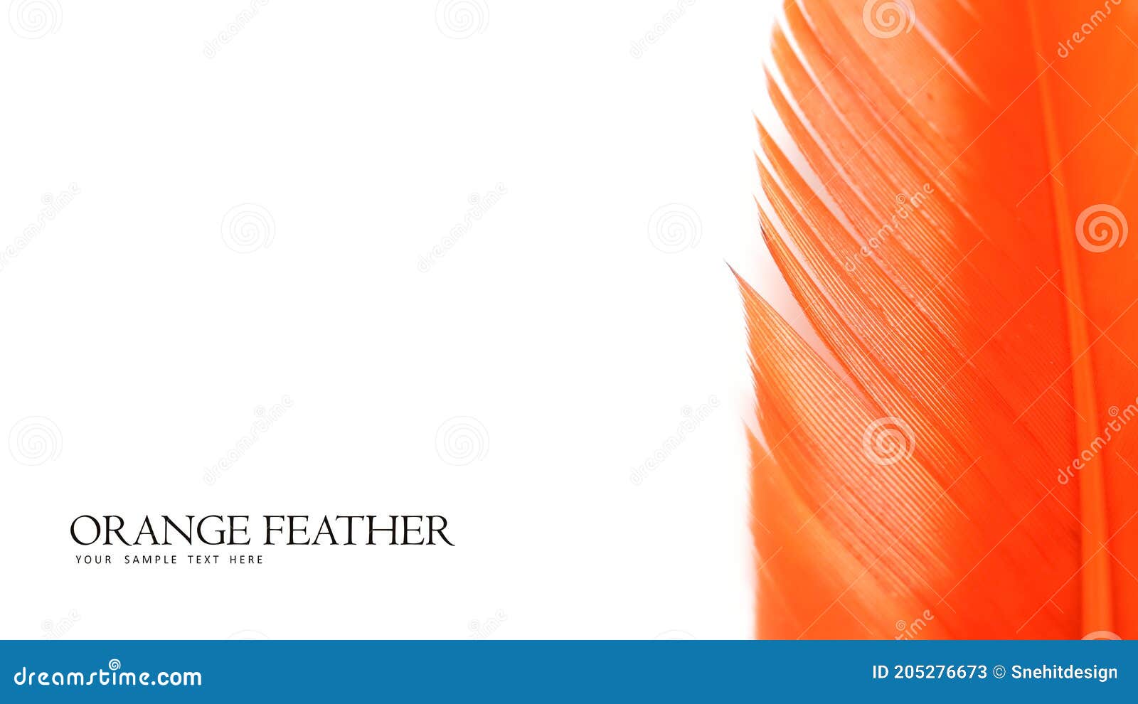 background templet made with close up shot of single orange feather