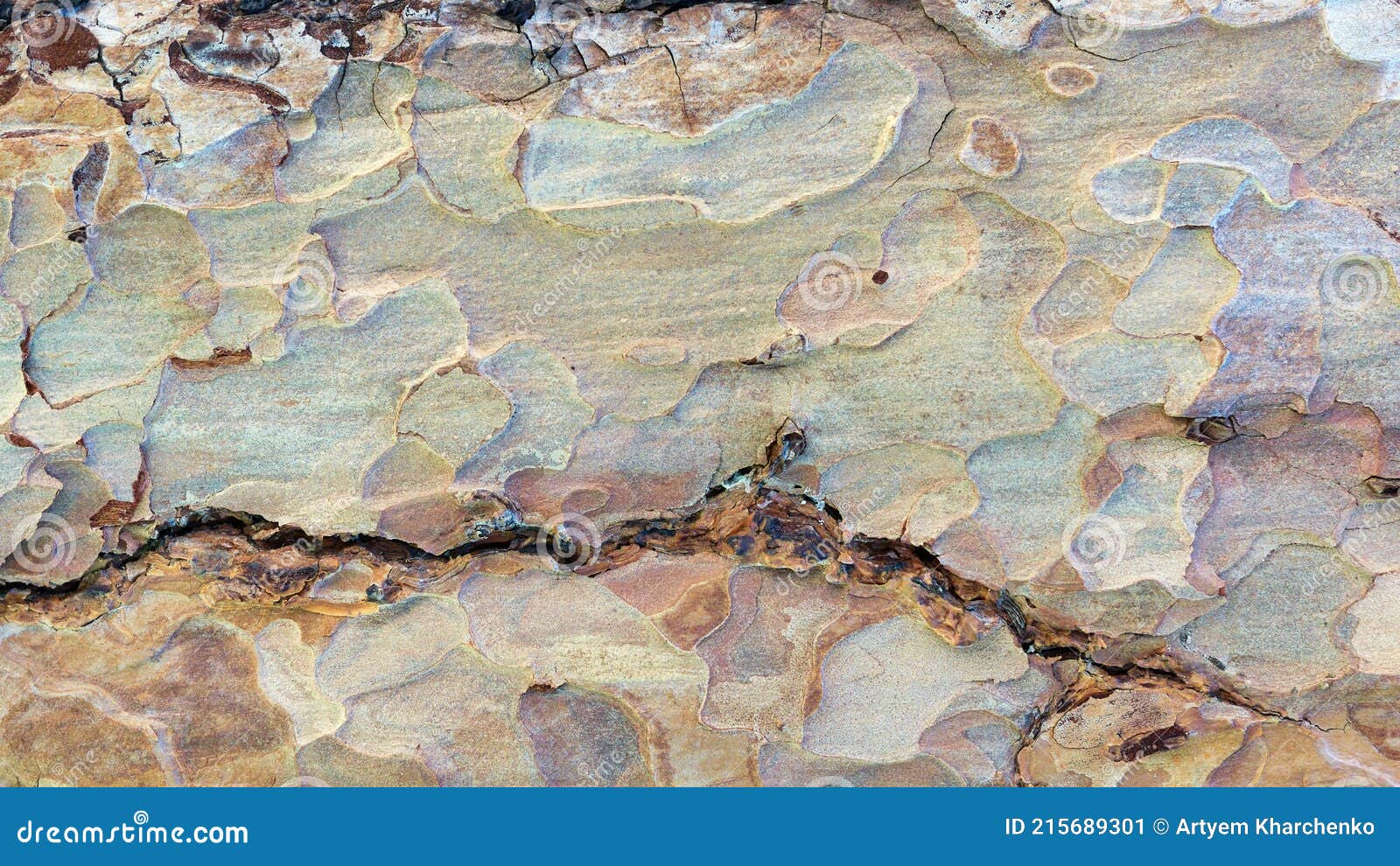 background with texture of a coniferous tree trunk with a pronounced textured surface and rich colors