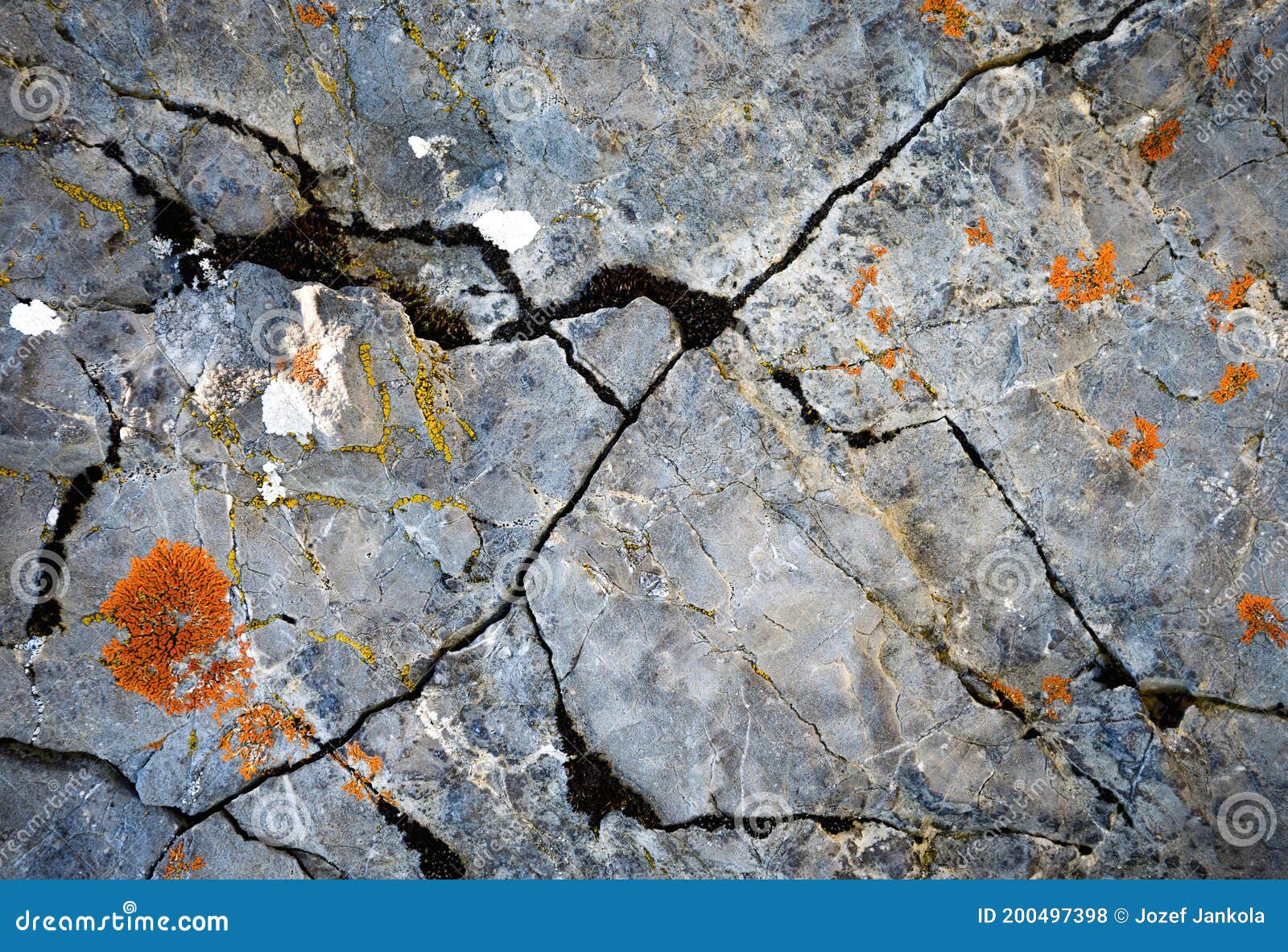 Detail of Gray Limestone Rock with Orange Moss Stock Photo Image of